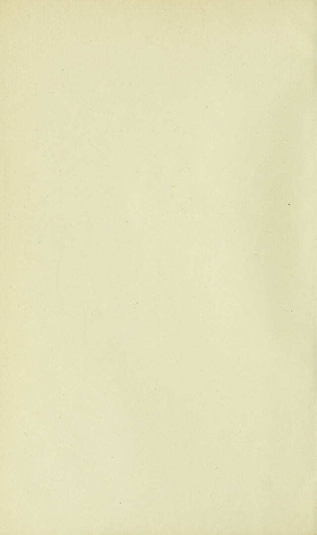 digitised image 2