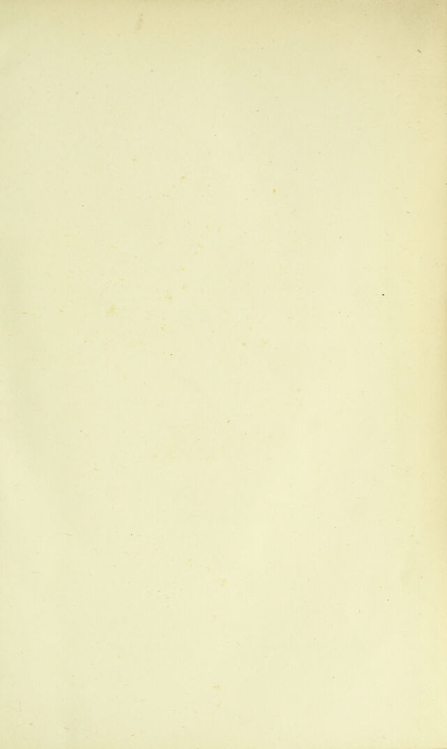 digitised image 3