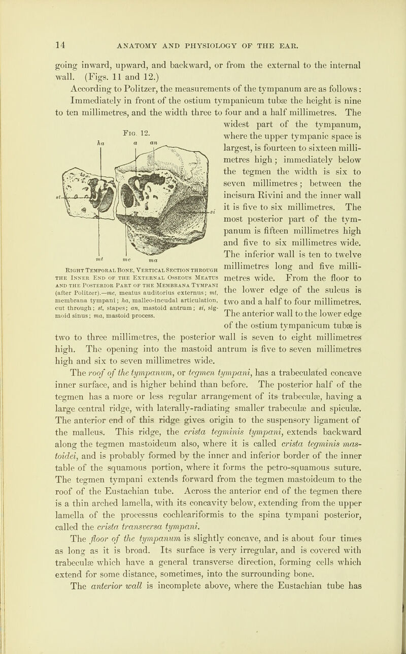 going inward, upward, and backward, or from the external to the internal wall. (Figs. 11 and 12.) According to Politzer, the measurements of the tympanum are as follows: Immediately in front of the ostium tympanicum tubse the height is nine to ten millimetres, and the width three to four and a half millimetres. The Fig. 12. mt. me ma Right Temporal Bone, Vertical Section through the Inner End of the External Osseous Meatus and the Posterior Part of the Membrana Tympani (after Politzer).—me, meatus auditorius externus; mt, membrana tympani; ha, malleo-incudal articulation, cut through; st, stapes; an, mastoid antrum; si, sig¬ moid sinus; ma, mastoid process. widest part of the tympanum, where the upper tympanic space is largest, is fourteen to sixteen milli¬ metres high ■ immediately below the tegmen the width is six to seven millimetres; between the incisura Rivini and the inner wall it is five to six millimetres. The most posterior part of the tym¬ panum is fifteen millimetres high and five to six millimetres wide. The inferior wall is ten to twelve millimetres long and five milli¬ metres wide. From the floor to the lower edge of the sulcus is two and a half to four millimetres. The anterior wall to the lower edge of the ostium tympanicum tubse is two to three millimetres, the posterior wall is seven to eight millimetres high. The opening into the mastoid antrum is five to seven millimetres high and six to seven millimetres wide. The roof of the tympanum, or tegmen tympani, has a trabeculated concave inner surface, and is higher behind than before. The posterior half of the tegmen has a more or less regular arrangement of its trabeculae, having a large central ridge, with laterally-radiating smaller trabeculae and spiculae. The anterior end of this ridge gives origin to the suspensory ligament of the malleus. This ridge, the crista tegminis tympani, extends backward along the tegmen mastoideum also, where it is called crista tegminis mas- toidei, and is probably formed by the inner and inferior border of the inner table of the squamous portion, where it forms the petro-squamous suture. The tegmen tympani extends forward from the tegmen mastoideum to the roof of the Eustachian tube. Across the anterior end of the tegmen there is a thin arched lamella, with its concavity below, extending from the upper lamella of the processus cochleariformis to the spina tympani posterior, called the crista transversa tympani. The floor of the tympanum is slightly concave, and is about four times as long as it is broad. Its surface is very irregular, and is covered with trabeculae which have a general transverse direction, forming cells which extend for some distance, sometimes, into the surrounding bone. The anterior wall is incomplete above, where the Eustachian tube has