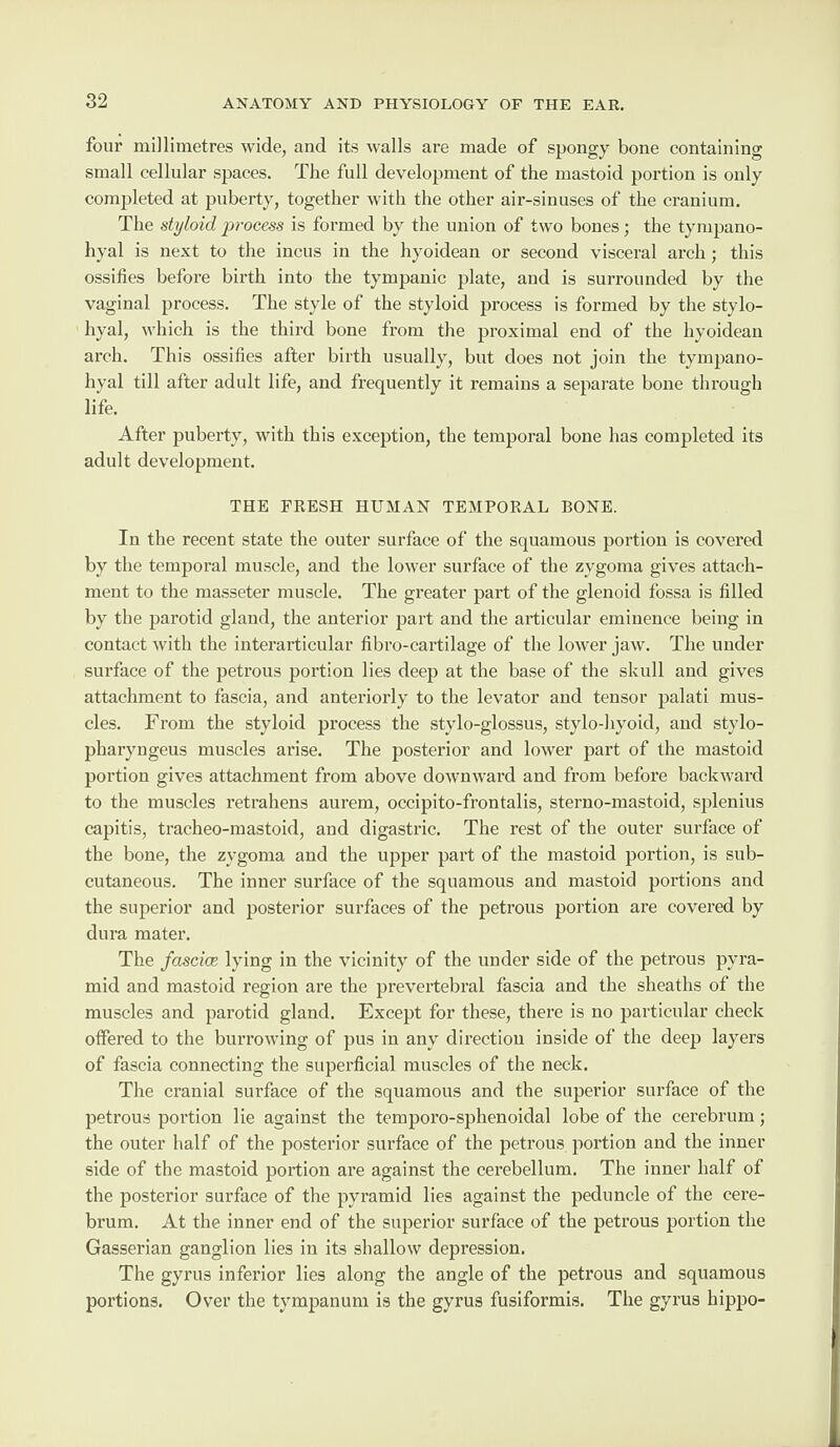 four millimetres wide, and its Avails are made of spongy bone containing small cellular spaces. The full development of the mastoid portion is only completed at puberty, together with the other air-sinuses of the cranium. The styloid process is formed by the union of two bones; the tympano- hyal is next to the incus in the hyoidean or second visceral arch; this ossifies before birth into the tympanic plate, and is surrounded by the vaginal process. The style of the styloid process is formed by the stylo- hyal, which is the third bone from the proximal end of the hyoidean arch. This ossifies after birth usually, but does not join the tympano- hyal till after adult life, and frequently it remains a separate bone through life. After puberty, with this exception, the temporal bone has completed its adult development. THE FRESH HUMAN TEMPORAL BONE. In the recent state the outer surface of the squamous portion is covered by the temporal muscle, and the lower surface of the zygoma gives attach¬ ment to the masseter muscle. The greater part of the glenoid fossa is filled by the parotid gland, the anterior part and the articular eminence being in contact with the interarticular fibro-cartilage of the lower jaw. The under surface of the petrous portion lies deep at the base of the skull and gives attachment to fascia, and anteriorly to the levator and tensor palati mus¬ cles. From the styloid process the stylo-glossus, stylo-hyoid, and stylo- pharyngeus muscles arise. The posterior and lower part of the mastoid portion gives attachment from above downward and from before backward to the muscles retrahens aurem, occipito-frontalis, sterno-mastoid, splenius capitis, tracheo-mastoid, and digastric. The rest of the outer surface of the bone, the zygoma and the upper part of the mastoid portion, is sub¬ cutaneous. The inner surface of the squamous and mastoid portions and the superior and posterior surfaces of the petrous portion are covered by dura mater. The fascice lying in the vicinity of the under side of the petrous pyra¬ mid and mastoid region are the prevertebral fascia and the sheaths of the muscles and parotid gland. Except for these, there is no particular check offered to the burrowing of pus in any direction inside of the deep layers of fascia connecting the superficial muscles of the neck. The cranial surface of the squamous and the superior surface of the petrous portion lie against the temporo-sphenoidal lobe of the cerebrum; the outer half of the posterior surface of the petrous portion and the inner side of the mastoid portion are against the cerebellum. The inner half of the posterior surface of the pyramid lies against the peduncle of the cere¬ brum. At the inner end of the superior surface of the petrous portion the Gasserian ganglion lies in its shallow depression. The gyrus inferior lies along the angle of the petrous and squamous portions. Over the tympanum is the gyrus fusiformis. The gyrus hippo-