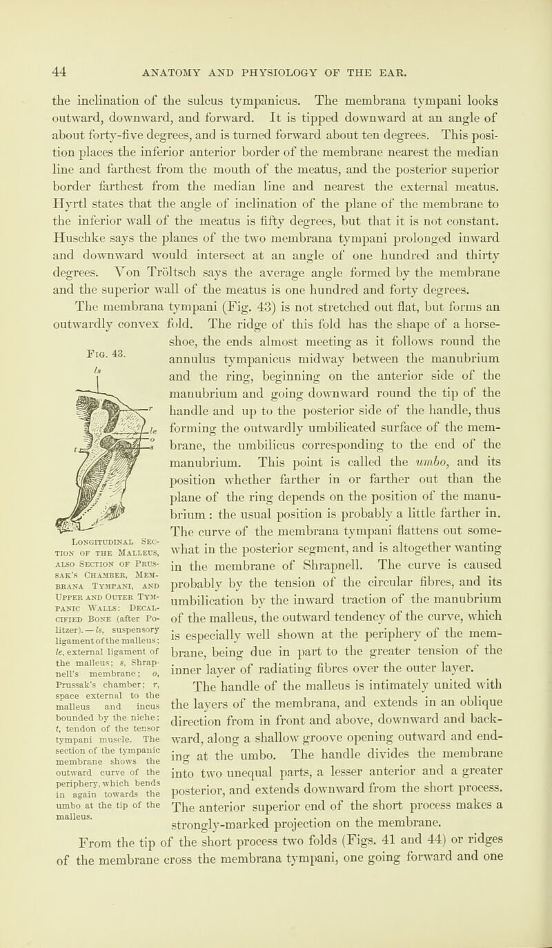 the inclination of the sulcus tympanicus. The membrana tympani looks outward, downward, and forward. It is tipped downward at an angle of about forty-five degrees, and is turned forward about ten degrees. This posi¬ tion places the inferior anterior border of the membrane nearest the median line and farthest from the mouth of the meatus, and the posterior superior border farthest from the median line and nearest the external meatus. Hyrtl states that the angle of inclination of the plane of the membrane to the inferior wall of the meatus is fifty degrees, but that it is not constant. Huschke says the planes of the two membrana tympani prolonged inward and downward would intersect at an angle of one hundred and thirty degrees. Yon Trbltsch says the average angle formed by the membrane and the superior wall of the meatus is one hundred and forty degrees. The membrana tympani (Fig. 43) is not stretched out flat, but forms an outwardly convex fold. The ridge of this fold has the shape of a horse¬ shoe, the ends almost meeting as it follows round the annulus tympanicus midway between the manubrium and the ring, beginning on the anterior side of the manubrium and going downward round the tip of the handle and up to the posterior side of the handle, thus forming the outwardly umbilicated surface of the mem¬ brane, the umbilicus corresponding to the end of the manubrium. This point is called the umbo, and its position whether farther in or farther out than the plane of the ring depends on the position of the manu¬ brium : the usual position is probably a little farther in. The curve of the membrana tympani flattens out some¬ what in the posterior segment, and is altogether wanting in the membrane of Shrapnell. The curve is caused probably by the tension of the circular fibres, and its umbilication by the inward traction of the manubrium of the malleus, the outward tendency of the curve, which is especially well shown at the periphery of the mem¬ brane, being due in part to the greater tension of the inner layer of radiating fibres over the outer layer. The handle of the malleus is intimately united with the layers of the membrana, and extends in an oblique direction from in front and above, downward and back¬ ward, along a shallow groove opening outward and end¬ ing at the umbo. The handle divides the membrane ^ # _ into two unequal parts, a lesser anterior and a greater posterior, and extends downward from the short process. The anterior superior end of the short process makes a strongly-marked projection on the membrane. From the tip of the short process two folds (Figs. 41 and 44) or ridges of the membrane cross the membrana tympani, one going forward and one Longitudinal Sec¬ tion op the Malleus, also Section of Prus- sak’s Chamber, Mem¬ brana Tympani, and Upper and Outer T ym¬ panic Walls: Decal¬ cified Bone (after Po- litzer). — Is, suspensory- ligament of the malleus; le, external ligament of the malleus: s, Shrap- nell’s membrane; o, Prussak's chamber; r, space external to the malleus and incus bounded by the niche; t, tendon of the tensor tympani muscle. The section of the tympanic membrane shows the outward curve of the periphery, which bends in again towards the umbo at the tip of the malleus.