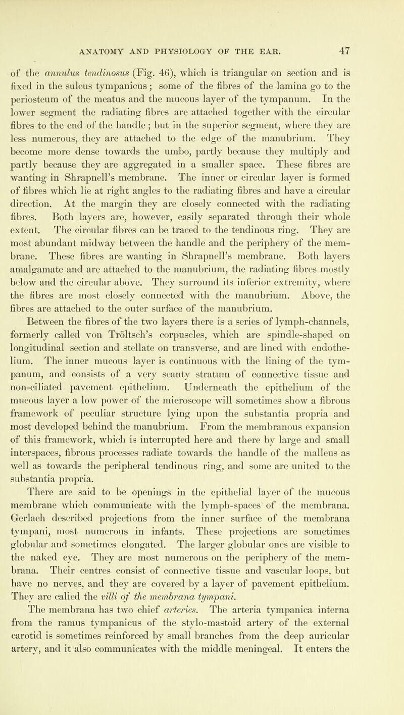 of the annulus tendinosus (Fig. 46), which is triangular on section and is fixed in the sulcus tympanicus; some of the fibres of the lamina go to the periosteum of the meatus and the mucous layer of the tympanum. In the lower segment the radiating fibres are attached together with the circular fibres to the end of the handle; but in the superior segment, where they are less numerous, they are attached to the edge of the manubrium. They become more dense towards the umbo, partly because they multiply and partly because they are aggregated in a smaller space. These fibres are wanting in Shrapnell’s membrane. The inner or circular layer is formed of fibres which lie at right angles to the radiating fibres and have a circular direction. At the margin they are closely connected with the radiating fibres. Both layers are, however, easily separated through their whole extent. The circular fibres can be traced to the tendinous ring. They are most abundant midway between the handle and the periphery of the mem¬ brane. These fibres are wanting in Shrapnell’s membrane. Both layers amalgamate and are attached to the manubrium, the radiating fibres mostly below and the circular above. They surround its inferior extremity, where the fibres are most closely connected with the manubrium. Above, the fibres are attached to the outer surface of the manubrium. Between the fibres of the two layers there is a series of lymph-channels, formerly called von Trbltsch’s corpuscles, which are spindle-shaped on longitudinal section and stellate on transverse, and are lined with endothe¬ lium. The inner mucous layer is continuous with the lining of the tym¬ panum, and consists of a very scanty stratum of connective tissue and non-ciliated pavement epithelium. Underneath the epithelium of the mucous layer a low power of the microscope will sometimes show a fibrous framework of peculiar structure lying upon the substantia propria and most developed behind the manubrium. From the membranous expansion of this framework, which is interrupted here and there bv large and small interspaces, fibrous processes radiate towards the handle of the malleus as well as towards the peripheral tendinous ring, and some are united to the substantia propria. There are said to be openings in the epithelial layer of the mucous membrane which communicate with the lvmph-spaces of the membrana. Gerlach described projections from the inner surface of the membrana tympani, most numerous in infants. These projections are sometimes globular and sometimes elongated. The larger globular ones are visible to the naked eye. They are most numerous on the periphery of the mem¬ brana. Their centres consist of connective tissue and vascular loops, but have no nerves, and they are covered by a layer of pavement epithelium. They are called the villi of the membrana tympani. The membrana has two chief arteries. The arteria tympanica interna from the ramus tympanicus of the stylo-mastoid artery of the external carotid is sometimes reinforced by small branches from the deep auricular artery, and it also communicates with the middle meningeal. It enters the