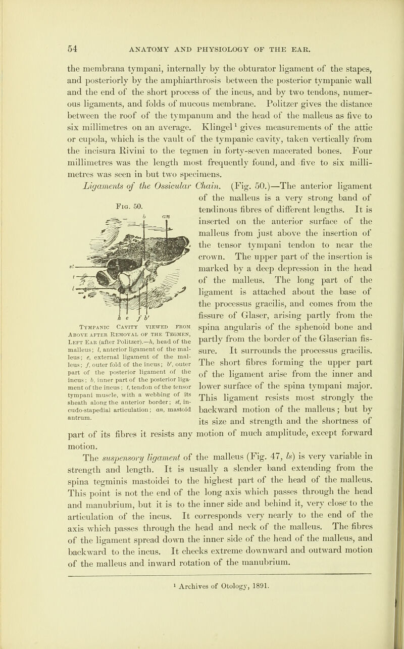 the membrana tympani, internally by the obturator ligament of the stapes, and posteriorly by the amphiarthrosis between the posterior tympanic wall and the end of the short process of the incus, and by two tendons, numer¬ ous ligaments, and folds of mucous membrane. Politzer gives the distance between the roof of the tympanum and the head of the malleus as five to six millimetres on an average. Klingel1 gives measurements of the attic or cupola, which is the vault of the tympanic cavity, taken vertically from the incisura Rivini to the tegmen in forty-seven macerated bones. Pour millimetres was the length most frequently found, and five to six milli¬ metres was seen in but two specimens. Ligaments of the Ossicular Chain. (Fig. 50.)—The anterior ligament of the malleus is a very strong band of tendinous fibres of different lengths. It is inserted on the anterior surface of the malleus from just above the insertion of the tensor tympani tendon to near the crown. The upper part of the insertion is marked by a deep depression in the head of the malleus. The long part of the ligament is attached about the base of the processus gracilis, and comes from the fissure of Glaser, arising partly from the spina angularis of the sphenoid bone and partly from the border of the Glaserian fis¬ sure. It surrounds the processus gracilis. The short fibres forming the upper part of the ligament arise from the inner and lower surface of the spina tympani major. This ligament resists most strongly the backward motion of the malleus; but by its size and strength and the shortness of part of its fibres it resists any motion of much amplitude, except forward motion. The suspensory ligament of the malleus (Fig. 47, Is) is very variable in strength and length. It is usually a slender band extending from the spina tegminis mastoidei to the highest part of the head of the malleus. This point is not the end of the long axis which passes through the head and manubrium, but it is to the inner side and behind it, very close'to the articulation of the incus. It corresponds very nearly to the end of the axis which passes through the head and neck of the malleus. The fibres of the ligament spread down the inner side of the head of the malleus, and backward to the incus. It checks extreme downward and outward motion of the malleus and inward rotation of the manubrium. Fig. 50. Tympanic Cavity viewed from Above after Removal of the Tegmen, Left Ear (after Politzer).—A, head of the malleus; l, anterior ligament of the mal¬ leus; e. external ligament of the mal¬ leus ; /. outer fold of the Incus; V, outer part of the posterior ligament of the incus; b, inner part of the posterior liga¬ ment of the incus; t, tendon of the tensor tympani muscle, with a webbing of its sheath along the anterior border; st, in- cudo-stapediai articulation; an, mastoid antrum. 1 Archives of Otolosry, 1891.