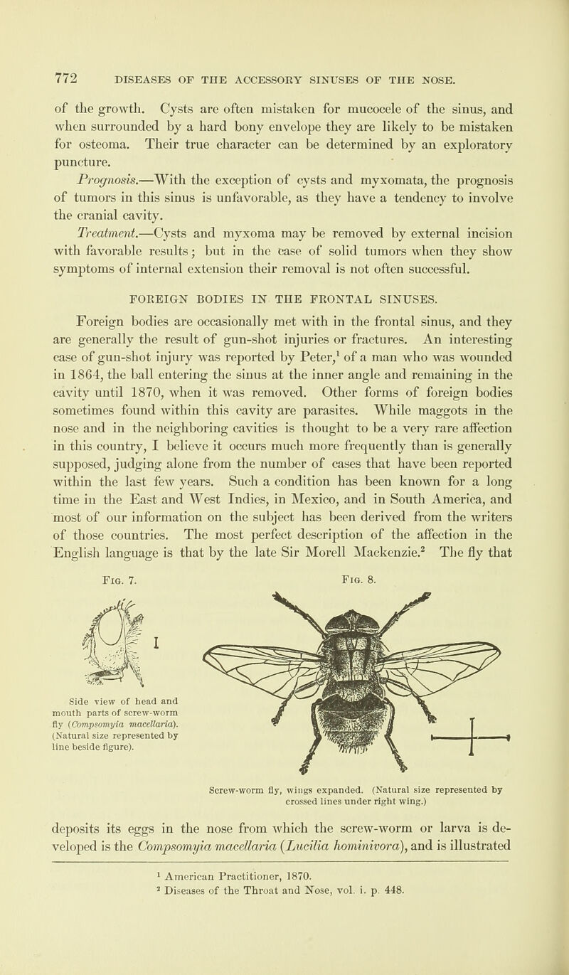 of the growth. Cysts are often mistaken for mucocele of the sinus, and when surrounded by a hard bony envelope they are likely to be mistaken for osteoma. Their true character can be determined by an exploratory puncture. Prognosis.—With the exception of cysts and myxomata, the prognosis of tumors in this sinus is unfavorable, as they have a tendency to involve the cranial cavity. Treatment.—Cysts and myxoma may be removed by external incision with favorable results; but in the case of solid tumors when they show symptoms of internal extension their removal is not often successful. FOREIGN BODIES IN THE FRONTAL SINUSES. Foreign bodies are occasionally met with in the frontal sinus, and they are generally the result of gun-shot injuries or fractures. An interesting case of gun-shot injury was reported by Peter,1 of a man who was wounded in 1864, the ball entering the sinus at the inner angle and remaining in the cavity until 1870, when it was removed. Other forms of foreign bodies sometimes found within this cavity are parasites. While maggots in the nose and in the neighboring cavities is thought to be a very rare affection in this country, I believe it occurs much more frequently than is generally supposed, judging alone from the number of cases that have been reported within the last few years. Such a condition has been known for a long time in the East and West Indies, in Mexico, and in South America, and most of our information on the subject has been derived from the writers of those countries. The most perfect description of the affection in the English language is that by the late Sir Morell Mackenzie.2 The fly that Fig. 7. Fig. 8. I Side view of head and mouth parts of screw-worm fly (Compsomyia macellaria). (Natural size represented by line beside figure). Screw-worm fly, wings expanded. (Natural size represented by crossed lines under right wing.) deposits its eggs in the nose from which the screw-worm or larva is de¬ veloped is the Compsomyia macellaria (Lucilia hominivora), and is illustrated 1 American Practitioner, 1870. 2 Diseases of the Throat and Nose, vol. i. p 448.