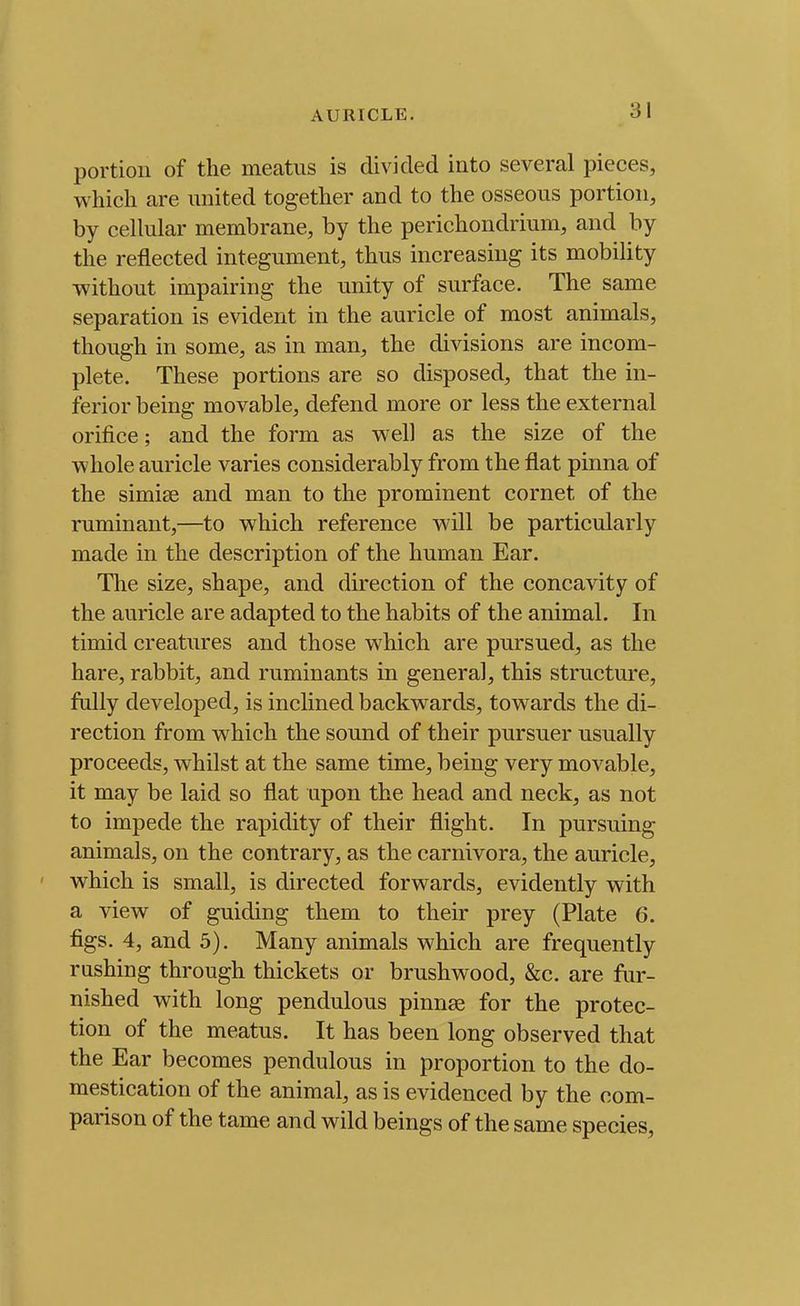AURICLE. portion of the meatus is divided into several pieces, which are united together and to the osseous portion, by cellular membrane, by the perichondrium, and by the reflected integument, thus increasing its mobility without impairing the unity of surface. The same separation is evident in the auricle of most animals, though in some, as in man, the divisions are incom- plete. These portions are so disposed, that the in- ferior being movable, defend more or less the external orifice; and the form as well as the size of the whole auricle varies considerably from the flat pinna of the simise and man to the prominent cornet of the ruminant,—to which reference will be particularly made in the description of the human Ear. The size, shape, and direction of the concavity of the auricle are adapted to the habits of the animal. In timid creatures and those which are pursued, as the hare, rabbit, and ruminants in general, this structure, fully developed, is inclined backwards, towards the di- rection from which the sound of their pursuer usually proceeds, whilst at the same time, being very movable, it may be laid so flat upon the head and neck, as not to impede the rapidity of their flight. In pursuing animals, on the contrary, as the carnivora, the auricle, which is small, is directed forwards, evidently with a view of guiding them to their prey (Plate 6. figs. 4, and 5). Many animals which are frequently rushing through thickets or brushwood, &c. are fur- nished with long pendulous pinnae for the protec- tion of the meatus. It has been long observed that the Ear becomes pendulous in proportion to the do- mestication of the animal, as is evidenced by the com- parison of the tame and wild beings of the same species,