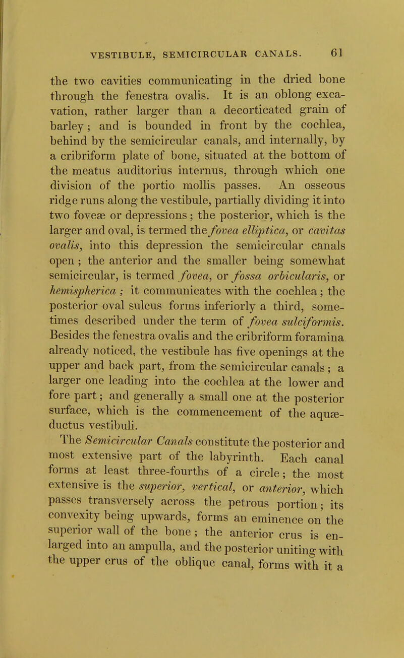 the two cavities communicating in the dried bone through the fenestra ovalis. It is an oblong exca- vation, rather larger than a decorticated grain of barley; and is bounded in front by the cochlea, behind by the semicircular canals, and internally, by a cribriform plate of bone, situated at the bottom of the meatus auditorius internus, through which one division of the portio mollis passes. An osseous ridge runs along the vestibule, partially dividing it into two foveas or depressions; the posterior, which is the larger and oval, is termed the fovea elliptica, or cavitas ovalis, into this depression the semicircular canals open ; the anterior and the smaller being somewhat semicircular, is termed fovea, or fossa orbicularis, or hemispherica ; it communicates with the cochlea ; the posterior oval sulcus forms iiiferiorly a third, some- times described under the term of fovea sulciformis. Besides the fenestra ovaHs and the cribriform foramina already noticed, the vestibule has five openings at the upper and back part, from the semicircular canals ; a larger one leading into the cochlea at the lower and fore part; and generally a small one at the posterior surface, which is the commencement of the aquee- ductus vestibuli. The Semicircular Canals constitute the posterior and most extensive part of the labyrinth. Each canal forms at least three-fourths of a circle; the most extensive is the superior, vertical, or anterior, which passes transversely across the petrous portion; its convexity being upwards, forms an eminence on'the superior wall of the bone; the anterior crus is en- larged into an ampulla, and the posterior uniting with the upper crus of the oblique canal, forms with it a