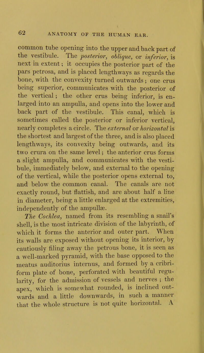 common tube opening into the upper and back part of the vestibule. The posterior, oblique, or inferior, is next in extent; it occupies the posterior part of the pars petrosa, and is placed lengthways as regards the bone, with the convexity turned outwards ; one crus being superior, communicates with the posterior of the vertical; the other crus being inferior, is en- larged into an ampulla, and opens into the lower and back part of the vestibule. This canal, which is sometimes called the posterior or inferior vertical, nearly completes a circle. The external or liorizontal is the shortest and largest of the three, and is also placed lengthways, its convexity being outwards, and its two crura on the same level; the anterior crus forms a slight ampulla, and communicates with the vesti- bule, immediately below, and external to the opening of the vertical, while the posterior opens external to, and below the common canal. The canals are not exactly round, but flattish, and are about half a line in diameter, being a little enlarged at the extremities, independently of the ampullae. The Cochlea, named from its resembling a snail's shell, is the most intricate division of the labyrinth, of which it forms the anterior and outer part. When its walls are exposed without opening its interior, by cautiously filing away the petrous bone, it is seen as a well-marked pyramid, with the base opposed to the meatus auditorius internus, and formed by a cribri- form plate of bone, perforated with beautiful regu- larity, for the admission of vessels and nerves ; the apex, which is somewhat rounded, is inclined out- wards and a little downwards, in such a manner that the whole structure is not quite horizontal. A