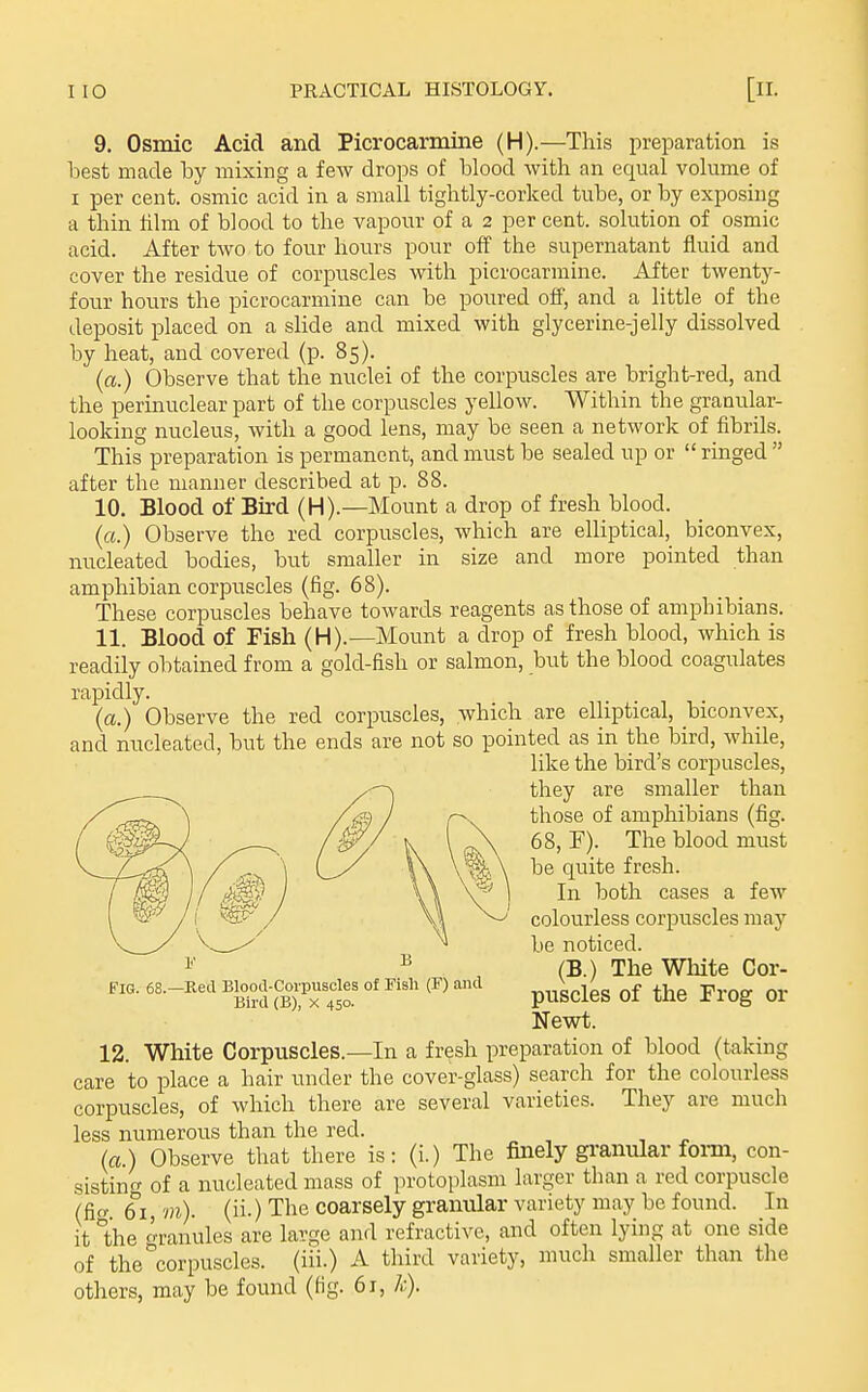 9. OsEoic Acid and Picrocarmine (H).—This preparation is best made by mixing a few drops of blood with an equal volume of I per cent, osmic acid in a small tightly-corked tube, or by exposing a thin tilm of blood to the vapour of a 2 per cent, solution of osmic acid. After two to four hours pour off the supernatant fluid and cover the residue of corpuscles with picrocarmine. After twenty- four hours the picrocarmine can be poured off, and a little of the deposit placed on a slide and mixed with glycerine-jelly dissolved by heat, and covered (p. 85). {a.) Observe that the nuclei of the corpuscles are bright-red, and the perinuclear part of the corpuscles yellow. Within the granular- looking nucleus, with a good lens, may be seen a network of fibrils. This preparation is permanent, and must be sealed up or  ringed  after the manner described at p. 88. 10. Blood of Bird (H).—Mount a drop of fresh blood. (a.) Observe the red corpuscles, which are elliptical, biconvex, nucleated bodies, but smaller in size and more pointed than amphibian corpuscles (fig. 68). These corpuscles behave towards reagents as those of amphibians. 11. Blood of Fish (H).—Mount a drop of fresh blood, which is readily obtained from a gold-fish or salmon, but the blood coagulates rapidly. (a.) Observe the red corpuscles, which are elliptical, biconvex, and nucleated, but the ends are not so pointed as in the bird, while. 12. White Corpuscles.—In a fresh preparation of blood (taking care to place a hair under the cover-glass) search for the colourless corpuscles, of which there are several varieties. They are much less numerous than the red. la.) Observe that there is: (i.) The finely granular foim, con- sisting of a nucleated mass of protoplasm larger than a red corpuscle (fio- 61, m). (ii.) The coarsely granular variety may be found. In it the c'rranules are large and refractive, and often lying at one side of the corpuscles, (iii.) A third variety, much smaller than the others, may be found (fig. 61, /.;). like the bird's corpuscles, they are smaller than those of amphibians (fig. 68, F). The blood must be quite fresh. In both cases a few colourless corpuscles may be noticed. 1,' B Fig. 68.—Reel Blood-Corpuscles of Fish (F) and Bird (B), x 450. (B.) The White Cor- puscles of the Frog or Newt.
