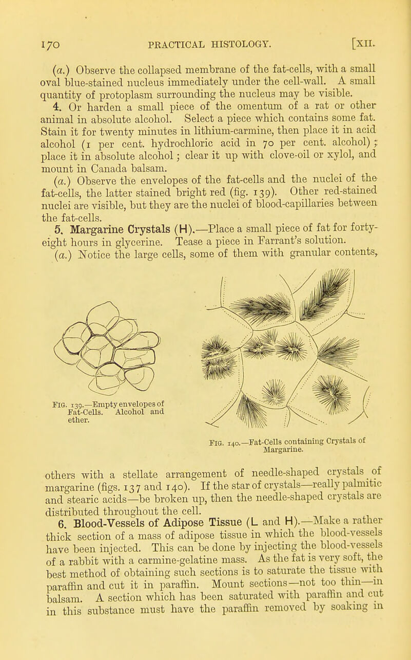 (a.) Observe the collapsed membrane of the fat-cells, with a small oval blue-stained nucleus immediately under the cell-wall. A small quantity of protoplasm surrounding the nucleus may be visible. 4. Or harden a small piece of the omentmn of a rat or other animal in absolute alcohol. Select a piece which contains some fat. Stain it for twenty minutes in lithium-carmine, then place it in acid alcohol (i per cent, hydrochloric acid in 70 per cent, alcohol) ; place it in absolute alcohol; clear it up with clove-oil or xylol, and mount in Canada balsam. (a.) Observe the envelopes of the fat-cells and the nuclei of the fat-ceUs, the latter stained bright red (fig. 139). Other red-stained nuclei are visible, but they are the nuclei of blood-capillaries between the fat-cells. 5. Margarine Crystals (H).—Place a small piece of fat for forty- eight hours in glycerine. Tease a piece in Farrant's solution. (a.) Notice the large cells, some of them with granular contents. others with a stellate arrangement of needle-shaped crystals of margarine (figs. 13 7 and 140). If the star of crystals—really palmitic and stearic acids—be broken up, then the needle-shaped crystals are distributed throughout the cell. 6. Blood-Vessels of Adipose Tissue (L and H).—Make a rather thick section of a mass of adipose tissue in which the blood-vessels have been injected. This can be done by injecting the blood-vessels of a rabbit with a carmine-gelatine mass. As the fat is very soft, the best method of obtaining such sections is to saturate the tissue with paraffin and cut it in paraffin. Mount sections—not too thin-in balsam. A section which has been saturated with paraffin and cut in this substance must have the paraffin removed by soaking m Fia. 140.—Fat-Cells containing Crystals of Margarine.