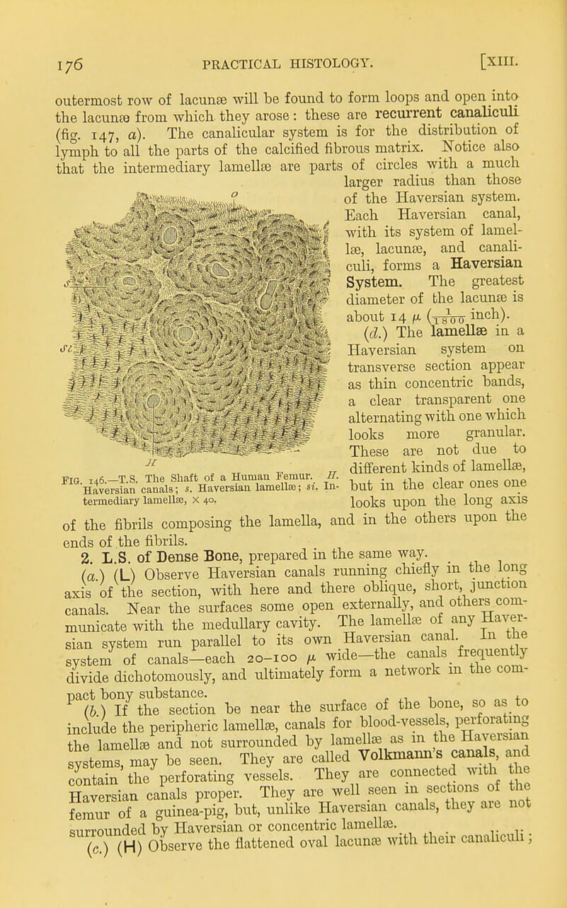 outermost row of lacunse will be found to form loops and open mto the lacunte from which they arose: these are recurrent canaliculi (fig. 147, a). The canalicular system is for the distribution of lymph to all the parts of the calcified fibrous matrix. Notice also that the intermediary lamellae are parts of circles with a much larger radius than those of the Haversian system. Each Haversian canal, with its system of lamel- Ite, lacunse, and canali- culi, forms a Haversian System. The greatest diameter of the lacuna3 is about 14 (u. (tfoT) iich). riG 146—T.S. The Shaft of a Human Femur. H. 'Haversian canals; s. Haversian lamella!; si. In- termediary lamella;, x 40. -T r- \i800 , ' id) The lamellae in a Haversian system on transverse section appear as thin concentric bands, a clear transparent one alternating with one which looks more granular. These are not due to different kinds of lamellse, but in the clear ones one . looks upon the long axis of the fibrils composing the lameUa, and in the others upon the ends of the fibrils. 2 L S of Dense Bone, prepared m the same way. ia ) (L) Observe Haversian canals running chiefly m the long axis of the section, with here and there oblique, short junction canals. Near the surfaces some open externally, and others com- municate with the medullary cavity. The lamelte of any Haver- sian system run parallel to its own Haversian canal In tfie system of canals-^each 20-100 wide-the canals_ frequently divide dichotomously, and ultimately form a network m the com- pact bony substance. ..1.1 no +/^ (6) If the section be near the surface of the bone, so as to include the peripheric lamella, canals for blood-vessels, perforatmg the lamell/and not surrounded by lamell^B as m the Haversian systems, may be seen. They are called Volkmaim's cana s, and contain the perforating vessels. They are connected with the Haversian canals proper. They are well seen m sections of Uie femur of a guinea-pig, but, unlike Haversian canals, they are not surrounded by Haversian or concentric lamellaj. 1^ {W) Observe the flattened oval lacuneB with their canalicuh;