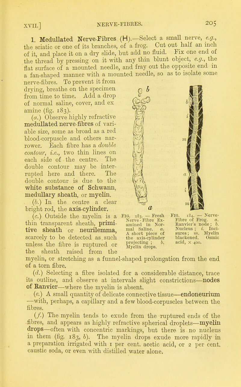 1. Medullated Nerve-Fibres (H).—Select a small nerve, e.g., the sciatic or one of its branches, of a frog. Cut out half an inch of it, and place it on a dry slide, but add no fluid. Fix one end of the thread by pressing on it with any thin blunt object, e.g., the flat surface of a mounted needle, and fray out the opposite end in a fan-shaped manner Avith a mounted needle, so as to isolate some nerve-fibres. To prevent it from drying, breathe on the specimen from time to time. Add a drop of normal saline, cover, and ex amine (fig. 183). (a.) Observe highly refractive medullated nerve fibres of vari- able size, some as broad as a red blood-corpuscle and others nar- rower. Each fibre has a double contour, i.e., two thin lines on each side of the centre. The double contour may be inter- rupted here and there. The double contour is due to the white substance of Schwann, medidlary sheath, or myelin. {b.) In the centre a clear bright rod, the axis-cylinder. (c.) Outside the myelin is a thin transparent sheath, primi- tive sheath or neurilemma, scarcely to be detected as. such imless the fibre is ruptured or the sheath raised from the myelin, or stretching as a funnel-shaped prolongation from the end of a torn fibre. (d.) Selecting a fibre isolated for a considerable distance, trace its outline, and observe at intervals slight constrictions—nodes of Ranvier—-Avhere the myelin is absent. (e.) A small quantity of delicate connective tissue—endoneurium —with, perhaps, a capillary and a few blood-corpuscles between the fibres. (/.) The myelin tends to exude from the ruptured ends of the .fibres, and appears as highly refractive spherical droplets—myelin drops—often with concentric markings, but there is no nucleus in them (fig. 183, b). The myelin drops exude more rapidly in a preparation irrigated with i per cent, acetic acid, or 2 per cent, caustic soda, or even with distilled water alone. 183. Nerve-Fibre Ex- amined in Nor- mal Saline. a. A short piece of the axis-cylinder Myelin drops. Fresh FiG, 184. — Nerve- Fibre of Frog. a. Kanvier's node; 6. Nucleus ; i. Inci- sures ; 9)1. Myelin blackened. Osmic