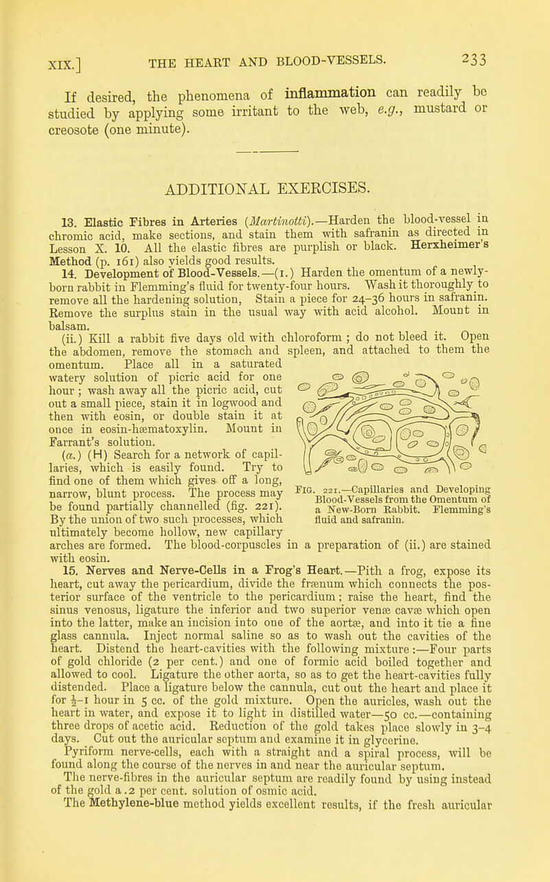 If desired, the phenomena of inflammation can readily be studied by applying some irritant to the web, e.g., mustard or creosote (one minute). ADDITIONAL EXERCISES. 13. Elastic Fibres in Arteries (TliariJMiotti).—Harden the blood-vessel ia chromic acid, make sections, and stain them with safi-anin as directed in Lesson X. 10. All the elastic fibres are purplish or black. Herxheimer's Method (p. 161) also yields good results. 14. Development of Blood-Vessels.—(i.) Harden the omentum of a newly- born rabbit in Flemming's fluid for twenty-four hours. Wash it thoroughly to remove all the hardening solution, Stain a piece for 24-36 hours in safranin. Remove the surplus stain in the usual way with acid alcohol. Mount in balsam. (ii.) Kill a rabbit five days old with chloroform ; do not bleed it. Open the abdomen, remove the stomach and spleen, and attached to them the omentum. Place all in a saturated watery solution of picric acid for one hour ; wash away all the picric acid, cut out a small piece, stain it in logwood and then with eosin, or double stain it at once in eosin-heematoxylin. Mount in Farrant's solution. (a.) (H) Search for a network of capil- laries, which is easily found. Try to find one of them which gives off a long, narrow, blunt process. The process may be found partially channelled (fig. 221). By the union of two such processes, which ultimately become hollow, new capillary arches are formed. The blood-corpuscles in a preparation of (ii.) are stained with eosin. 15. Nerves and Nerve-Cells in a Frog's Heart.—Pith a frog, expose its heart, cut away the pericardium, divide the frrenum which connects the pos- terior surface of the ventricle to the pericardium; raise the heart, find the sinus venosus, ligature the inferior and two superior ven£e cavse which open into the latter, make an incision into one of the aorta;, and into it tie a fine glass cannula. Inject normal saline so as to wash out the cavities of the heart. Distend the heart-cavities with the following mixture :—Four parts of gold chloride (2 per cent.) and one of formic acid boiled together and allowed to cool. Ligature the other aorta, so as to get the heart-cavities fully distended. Place a ligature below the cannula, cut out the heart and place it for hour in 5 cc. of the gold mixture. Open the auricles, wash out the heart in water, and expose it to light in distilled water—50 cc.—containing three drops of acetic acid. Reduction of the gold takes place slowly in 3-4 days. Gut out the auricular septum and examine it in glycerine. Pyriform nerve-cells, each with a straight and a spiral process, will be found along the course of the nerves in and near the auricular septum. The nerve-fibres in the auricular septum are readily found by using instead of the gold a .2 per cent, solution of osmic acid. The Methylene-blue method yields excellent results, if the fresh auricular Fig. 221.—Capillaries and Developing Blood-Vessels from tlie Omentum of a New-Born Rabbit. Flemming's fluid and safranin.