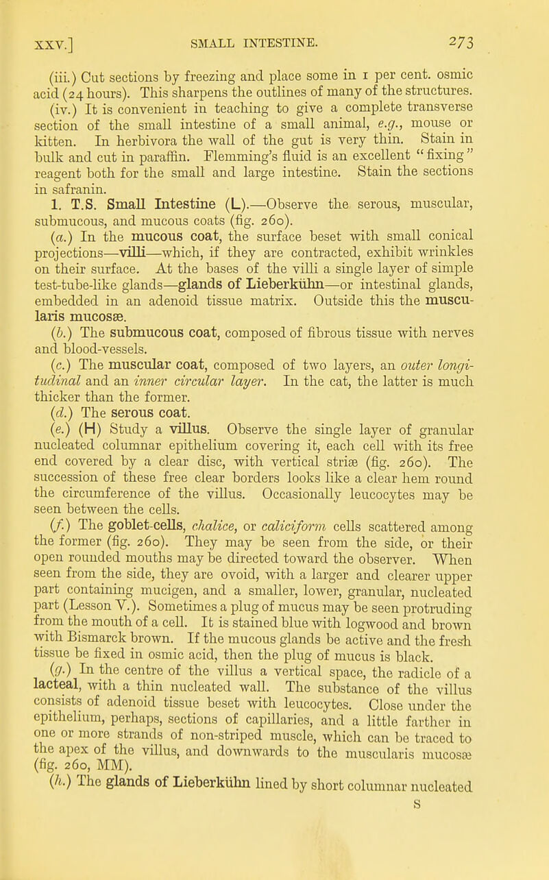 (iii.) Cut sections by freezing and place some in i per cent, osmic acid (24 hours). This sharpens the outlines of many of the structures. (iv.) It is convenient in teaching to give a complete transverse section of the small intestine of a small animal, e.g., mouse or Idtten. In herbivora the wall of the gut is very thin. Stain in bulk and cut in paraffin. Flemming's fluid is an excellent  fixing  reagent both for the small and large intestine. Stain the sections in safranin. 1. T.S. Small Intestine (L).—Observe the serous, muscular, submucous, and mucous coats (fig. 260). {a.) In the mucous coat, the surface beset vrith small conical projections—viUi—which, if they are contracted, exhibit wrinkles on their surface. At the bases of the villi a single layer of simple test-tube-like glands—glands of Lieberkiihn—or intestinal glands, embedded in an adenoid tissue matrix. Outside this the muscu- laris mucossB. (&.) The submucous coat, composed of fibrous tissue with nerves and blood-vessels. (c.) The muscular coat, composed of two layers, an outer longi- tudinal and an inner circular layer. In the cat, the latter is much thicker than the former. {d.) The serous coat. (e.) (H) Study a villus. Observe the single layer of granular nucleated columnar epithelium covering it, each ceU with its free end covered by a clear disc, with vertical striae (fig. 260). The succession of these free clear borders looks like a clear hem round the circumference of the villus. Occasionally leucocytes may be seen between the cells. if.) The goblet-ceUs, chalice, or caliciform cells scattered among the former (fig. 260). They may be seen from the side, or their open rounded mouths may be directed toward the observer. When seen from the side, they are ovoid, with a larger and clearer upper part containing mucigen, and a smaller, lower, granular, nucleated part (Lesson V.). Sometimes a plug of mucus may be seen protruding from the mouth of a cell. It is stained blue with logwood and brown with Bismarck brown. If the mucous glands be active and the fredi tissue be fixed in osmic acid, then the plug of mucus is black. {g.) In the centre of the villus a vertical space, the radicle of a lacteal, with a thin nucleated wall. The substance of the villus consists of adenoid tissue beset with leucocytes. Close under the epithelium, perhaps, sections of capillaries, and a little farther in one or more strands of non-striped muscle, which can be traced to the apex of the villus, and downwards to the muscularis mucosse (fig. 260, MM). (/i.) The glands of Lieberkulm lined by short columnar nucleated S