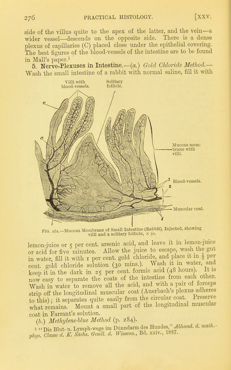 side of the villus quite to the apex of the latter, and the vein—a wider vessel—descends on the opposite side. There is a dense plexus of capillaries (C) placed close under the epithehal covering. The hest figures of the blood-vessels of the intestine are to be found in Mall's paper. ^ 5. Nerve-Plexuses in Intestine.—(a.) Gold Chloride Method.— Wash the small intestine of a rabbit with normal saline, fill it with Villi mth blood-vessels. Solitary follicle. Mucous mem- brane with villi. llJ'^Wtl Blood-vesseU. Muscular coat. f IG 262 -Mucous Membrane of Small Intestine (Rabbit), Injected, showing villi and a solitary follicle, x 50. lemon-iuice or 5 per cent, arsenic acid, and leave it in lemoii-juice or acid for five minutes. AUow the juice to escape, wash the gut in water, fill it with i per cent, gold chloride, and place it in \ per cent, gold chloride solution (30 mins.). Wash it m water, and keep it in the dark in 25 per cent, formic acid (48 hours), it is now easy to separate the coats of the mtestine from _ each other. Wash in water to remove all the acid, and with a pair of forceps strip off the longitudinal muscular coat (Auerbach's plexus adheres to this): it separates quite easily from the circular coat. 1 reserve what remains. Mount a small part of the longitudinal muscular coat in Farrant's solution. (&.) Methylene-hlue Method (p. 284). 1  Die Bhit- u. Lymph-wege im Diinndarm des Hundes,''d. math.- pJvys. Classe d. K. Sdclis. Ocsell. d. Wisscns., Bd. xxiv., 1887.