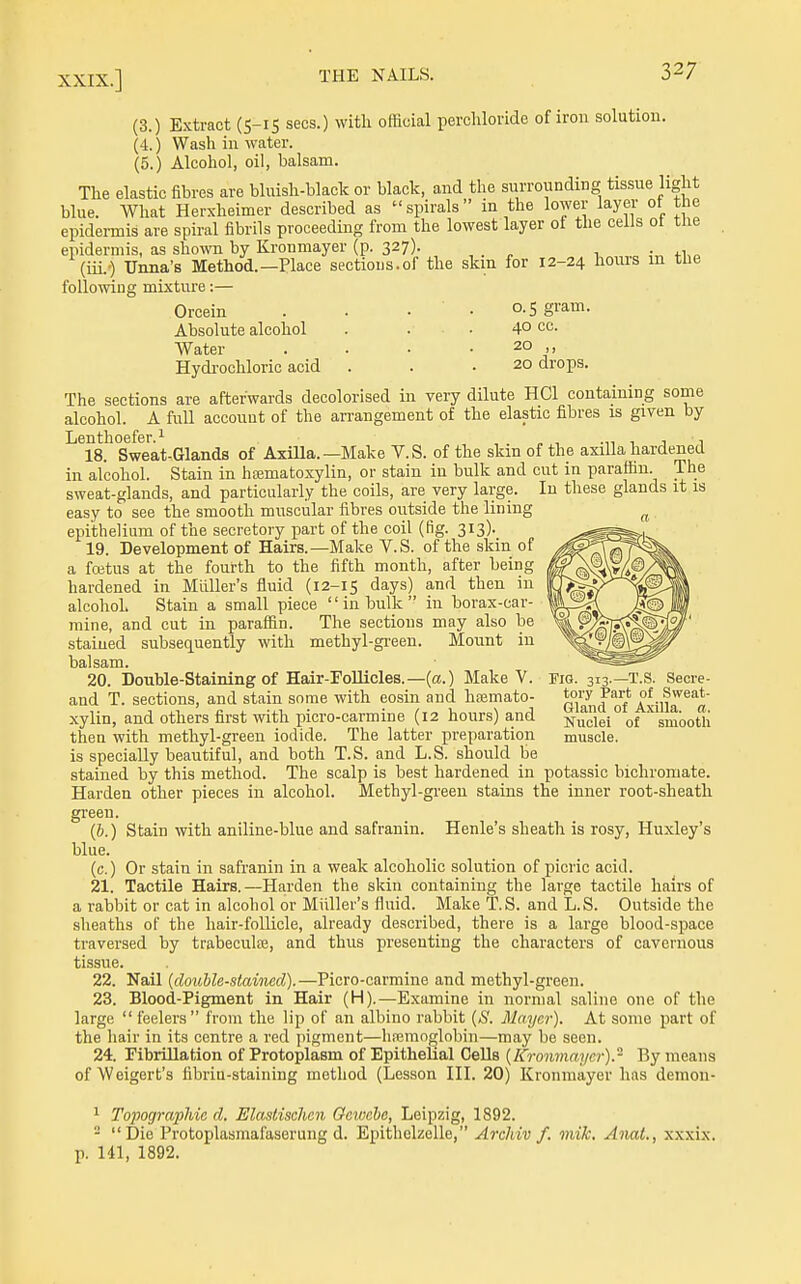 (3.) Extract (5-15 sees.) with official perchloride of iron solution. (4.) Wash in water. (5.) Alcohol, oil, balsam. The elastic fibres are bluish-black or black, and the surrounding tissue light blue. What Hersheimer described as spirals in the lower layer of the epidei-mis are spiral fibrils proceeding from the lowest layer of the cells ot the epidermis, as shown by Kronmayer (p. 327). (iii.-) Unna's Method.—Place sectious.of the skm for 12-24 horns in the following mixture:— Orcein . . . • o-5 gi'^m- Absolute alcohol . ... 4° cc. Water . . • . 20 , Hydrochloric acid . . .20 drops. The sections are afterwards decolorised in very dilute HCl containing some alcohol. A full account of the arrangement of the elastic fibres is given by Lenthoefer.i 18. Sweat-Glands of Axilla.—Make V.S. of the skin of the axilla hardened in alcohol. Stain in haematoxylin, or stain in bulk and cut in parafiin. The sweat-glands, and particularly the coils, are very large. In these glands it is easy to see the smooth muscular fibres outside the lining epithelium of the secretory part of the coil (fig. 313). 19. Development of Hairs.—Make V.S. of the skin of a fcetus at the fourth to the fifth month, after being hardened in Miiller's fluid (12-15 days) and then in alcohol. Stain a small piece '' in bulk  in borax-car- mine, and cut in paraffin. The sections may also be stained subsequently with methyl-gi'een. Mount in balsam. 20. Double-Staining of Hair-roUicles.—(a.) Make V. Fig. 313.—T.S. Secre- and T. sections, and stain some with eosin and hajmato- Gland'S'Axilfr^'^a xylin, and others first with picro-carmine (12 hours) a.nd Kuclel°of smootli then with methyl-green iodide. The latter preparation muscle. is specially beautiful, and both T.S. and L.S. should be stained by this method. The scalp is best hardened in potassic bichromate. Harden other pieces in alcohol. Methyl-green stains the inner root-sheath green. (6.) Stain with aniline-blue and safranin. Henle's sheath is rosy, Huxley's blue. (c.) Or stain in safranin in a weak alcoholic solution of picric acid. 21. Tactile Hairs.—Harden the skin containing the large tactile hairs of a rabbit or cat in alcohol or Miiller's fluid. Make T.S. and L.S. Outside the sheaths of the hair-follicle, already described, there is a large blood-space traversed by trabecule, and thus presenting the characters of cavernous tissue. 22. Nail (double-stained).—Picro-carmine and methyl-green. 23. Blood-Pigment in Hair (H).—Examine in normal saline one of the large  feelers from the lip of an albino rabbit {S. Mayer). At some part of the hair in its centre a red pigment—hfemoglobin—may be seen. 24. Fibrillation of Protoplasm of Epithelial Cells {Kronmayer).- By means of Weigert's fibrin-staining method (Lesson III. 20) Kronmayer has demon- 1 Topographie d. Elastischen Ocwcbe, Leipzig, 1892. - Die Protoplasmafaserung d. Epithelzelle, ArcJdv f. mik, Anat., xxxix. p. 141, 1892.