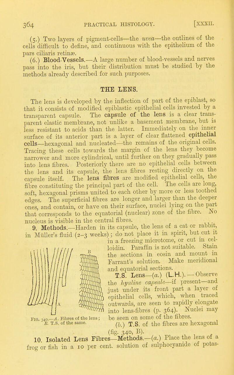 (5.) Two layers of pigment-cells—the uvea—the outlines of the cells difficult to define, and continuous with the epithelium of the pars ciliaris retinae. (6.) Blood-Vessels.—A large number of blood-vessels and nerves pass into the iris, but their distribution must be studied by the methods already described for such purposes. THE LENS. The lens is developed by the inflection of part of the epiblast, so that it consists of modified epiblastic epithelial cells invested by a transparent capsule. The capsule of the lens is a clear trans- parent elastic membrane, not unlike a basement membrane, but is less resistant to acids than the latter. Immediately on the inner surface of its anterior part is a layer of clear flattened epithelial cells—hexagonal and nucleated—the remains of the original cells. Tracing these cells towards the margin of the lens they become narrower and more cylindrical, until further on they gradually pass into lens fibres. Posteriorly there are no epithelial cells between the lens and its capsule, the lens fibres resting directly on the capsule itself. The lens fibres are modified epithelial ceUs, the fibre constituting the principal part of the cell. The cells are long, soft, hexagonal prisms united to each other by more or less toothed edges. The superficial fibres are longer and larger than the deeper ones, and contain, or have on their surface, nuclei lying on the part that corresponds to the equatorial (nuclear) zone of the fibre. Ao nucleus is visible in the central fibres. 9. Methods.—Harden in its capsule, the lens of a cat or rabbit, in iliiller's fluid (2-3 weeks); do not place it in spirit, but cut it in a freezing microtome, or cut in cel- loidin. Paraffin is not suitable. Stain the sections in eosin and mount in Farrant's solution. Make meridional and equatorial sections. T.S. Lens—(a.) (L.H.). — Observe the hyaline capsule—if present—and just under its front part a layer of epithelial cells, which, Avhen traced outwards, are seen to rapidly elongate into lens-fibres (p. 364). Nuclei may be seen on some of the fibres. (b.) T.S. of the fibres are hexagonal (fig. 340, B). 10 Isolated Lens Fibres—Methods.—(«.) Place the lens of a frog or fish in a 10 per cent, solution of sulphocyanidc of potas- ria. 340.—^. Fibres of the lens; B. T.S. of the same.