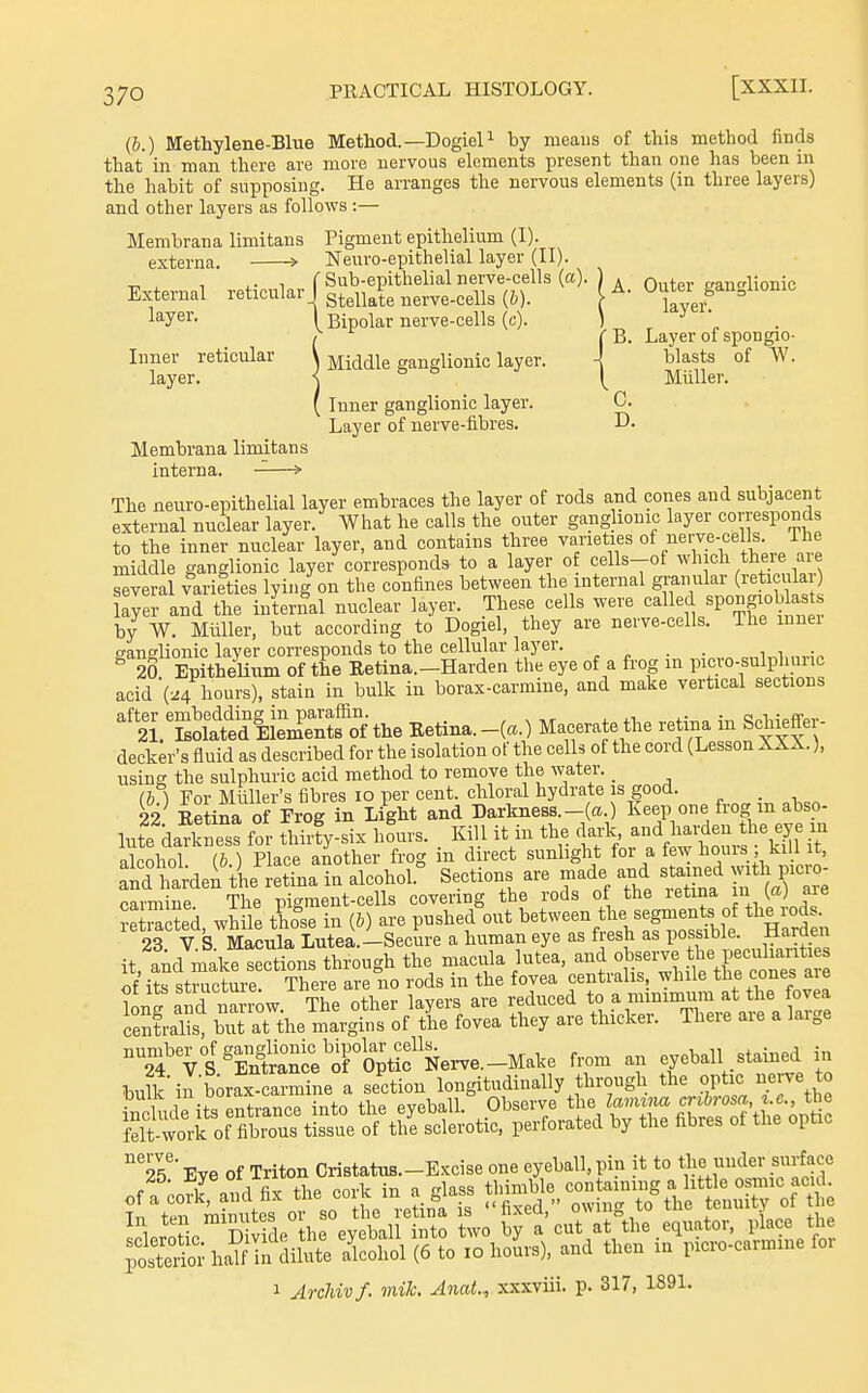 570 (6.) Methylene-Blue Metliod.—DogieU by means of this method finds that in man there are more nervous elements present than one has been in the habit of supposing. He arranges the nervous elements (in three layers) and other layers as follows :— Membrana limitans Pigment epithelium (I). externa. > Neuro-epithelial layer (II). -n ^ , ..if Sub-epithelial nerve-cells (a). ) . Quter eandionic External reticular J g^gji^^^^ j^e.^e.^ells (6). ^'^^'4^''=''°'^''' layer. I Bipolar nerve-cells (c). ) ^ \ . / rB. Layer of spongio- Inner reticular \ Middle ganglionic layer. -! blasts of W. layer. j o n ^ Miiller. ( Inner ganglionic layer. C. Layer of nerve-fibres. Membrana limitans interna. > The neuro-epithelial layer embraces the layer of rods and cones and subjacent external nuclear layer. What he calls the outer ganglionic layer corresponds to the inner nuclear layer, and contains three varieties of/i^^^.^-f ./^'^^^ middle ganglionic layer corresponds to a layer o cells-of wh ch theie aie several varieties lying on the confines between the internal granular (reticu a layer and the internal nuclear layer. These cells were '=-11'^.'^/P°f °^ by W. Miiller, but according to Dogiel, they are nerve-cells. The muei f^anclionic layer corresponds to the cellular layer. „ ^ . . i i •„ ° 20 Epithelium of the Retina.-Harden the eye of a frog in picro-sulphunc acid (^4 hours), stain in bulk in borax-carmine, and make vertical sections '''^:tcl'Sl%^Sfoni.e Retina. _(«.) Macerate the retina in Sohieffer- decker's fluid as described for the isolation of the cells of the cord (Lesson XXX.), using the sulphuric acid method to remove the water. _ (b ) For Miiller's fibres lo per cent, chloral hydrate is good. _ 22 Retina of FroK in Light and Darkness.- a. Keep one frog m abso- lute kalne's: for Sy-six hLs. Kill it in the da.-k, and Wen t^ alcohol (&.) Place another frog in direct sunlight for a ffw liois /.i 1 S ha den tie retina in alcohol. Sections are made and stained with Picro- carmine The pigment-cells covering the rods of the retina i« (^^ af S ted, wMe tL'se in (6) are pushed out between he segmen^^^^^^^ th^rods. 23 VS Macula Lutea.—Secure a human eye as fresh as possible. Jiameii it, and make sections through the macula lutea, -J Jf^^, of its structure. There are no rods m the fovea f ! J^^^f the fovea lone and narrow. The other layers are reduced to a minimum at tue lovea centrahs, but at tiie margins of the fovea they are thicker. There are a large ''7^%^'^£lie''TXAr.e.-m^.e from an eyeball stained in bulk in borax-carmine a section longitudinally through the optic nerve o '''2F Eve of Triton Cristatus.-Excise one eyeball, pin it to the under surface of!U^randfix ^^J^jr.^^ ^^^Z^l^^I^ST^^^ L\r':il dSc hrey^llllnt: l.o £y1' cut at;the /^l-tcn- Place the posterioi half in dilute alcohol (6 to lo hours), and then in picro-caimine foi 1 ArcJiivf. mik. AnaL, xxxviii. p. 317, 1891.