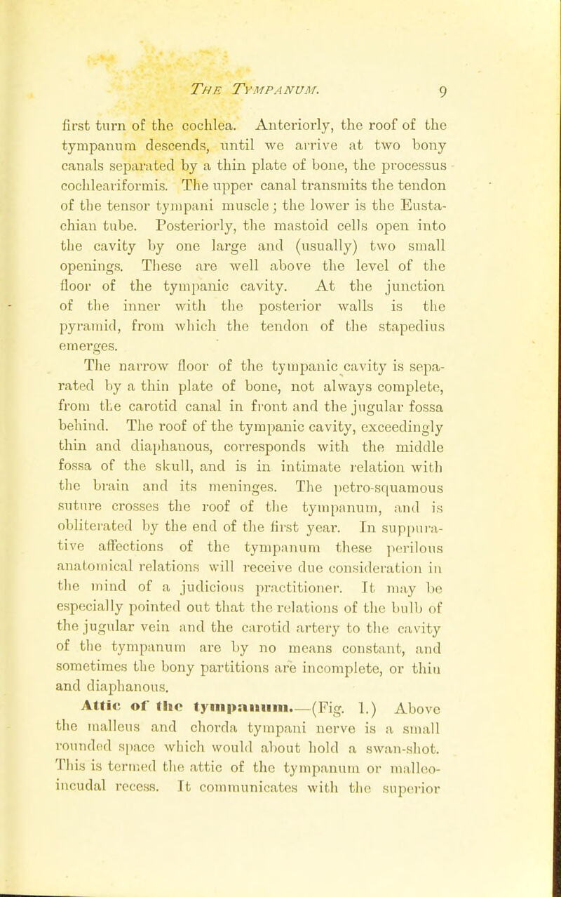 The Tympanum. first turn of the cochlea. Anteriorly, the roof of the tympanum descends, until we arrive at two bony canals separated by a thin plate of bone, the processus cochleariformis. The upper canal transmits the tendon of the tensor tympani muscle; the lower is the Eusta- chian tube. Posteriorly, the mastoid cells open into the cavity by one large and (usually) two small openings. These are well above the level of the floor of the tympanic cavity. At the junction of the inner with the posterior walls is the pyramid, from which the tendon of the stapedius emerges. The narrow floor of the tympanic cavity is sepa- rated by a thin plate of bone, not always complete, from the carotid canal in front and the jugular fossa behind. The roof of the tympanic cavity, exceedingly thin and diaphanous, corresponds with the middle fossa of the skull, and is in intimate relation with the brain and its meninges. The petro-squamous suture crosses the roof of the tympanum, and is obliterated by the end of the first year. In suppura- tive affections of the tympanum these perilous anatomical relations will i-eceive due consideration in the mind of a judicious practitioner. It may lie especially pointed out that the relations of the bulb of the jugular vein and the carotid artery to the cavity of the tympanum are by no means constant, and sometimes the bony partitions are incomplete, or thin and diaphanous. Attic of the tympanum.—(Fig. 1.) Above the malleus and chorda tympani nerve is a small rounded space which would about hold a swan-shot. This is termed the attic of the tympanum or malleo- incudal recess. It communicates with the superior