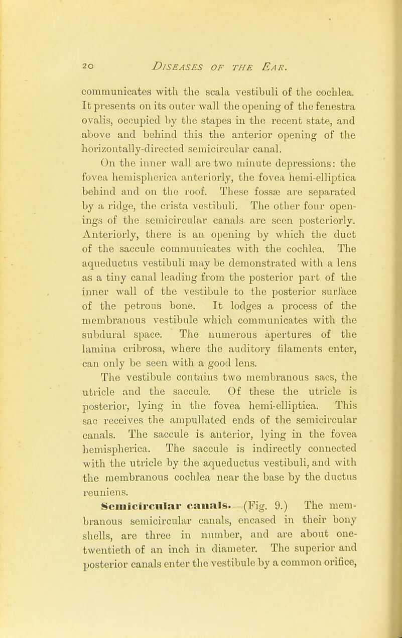 communicates with the scala vestibuli of the cochlea. It presents on its outer wall the opening of the fenestra ovalis, occupied by the stapes in the recent state, and above and behind this the anterior opening of the horizontally-directed semicircular canal. On the inner wall are two minute depressions: the fovea heniispherica anteriorly, the fovea hemi-elliptica behind and on the roof. These fossa) are separated by a ridge, the crista vestibuli. The otlier four open- ings of the semicircular canals are seen posteriorly. Anteriorly, there is an opening by which tlie duct of the saccule communicates with the cochlea. The aqueductus vestibuli may be demonstrated with a lens as a tiny canal leading from the posterior part of the inner wall of the vestibule to the posterior surface of the petrous bone. It lodges a process of the membranous vestibule which communicates with the subdural space. The numerous apertures of the lamina cribrosa, where the auditory filaments enter, can only be seen with a good lens. The vestibule contains two membranous sacs, the utricle and the saccule. Of these the utricle is posterior, lying in the fovea hemi-elliptica. This sac receives the ampullated ends of the semicircular canals. The saccule is anterior, lying in the fovea heniispherica. The saccule is indirectly connected with the utricle by the aqueductus vestibuli, and with the membranous cochlea near the base by the ductus reuniens. Semicircular canals.—(Fig. 9.) The mem- branous semicircular canals, encased in their bony shells, are three in number, and are about one- twentieth of an inch in diameter. The superior and posterior canals enter the vestibule by a common orifice,
