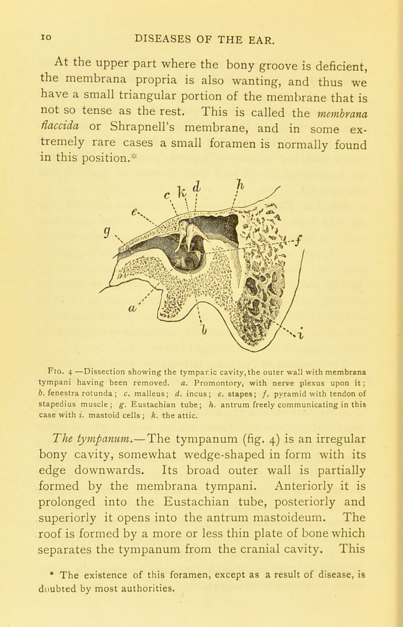 At the upper part where the bony groove is deficient, the membrana propria is also wanting, and thus we have a small triangular portion of the membrane that is not so tense as the rest. This is called the membrana flaccida or Shrapnell's membrane, and in some ex- tremely rare cases a small foramen is normally found in this position.* Fig. 4 —Dissection showing the tympanic cavity, the outer wa!l with membrana tympani having been removed. a. Promontory, with nerve plexus upon it; b. fenestra rotunda; c. malleus; d. incus; c. stapes; /. pyramid with tendon of stapedius muscle; g. Eustachian tube; h. antrum freely communicating in this case with i. mastoid cells ; k. the attic. The tympanum.—The tympanum (fig. 4) is an irregular bony cavity, somewhat wedge-shaped in form with its edge downwards. Its broad outer wall is partially formed by the membrana tympani. Anteriorly it is prolonged into the Eustachian tube, posteriorly and superiorly it opens into the antrum mastoideum. The roof is formed by a more or less thin plate of bone which separates the tympanum from the cranial cavity. This * The existence of this foramen, except as a result of disease, is doubted by most authorities.