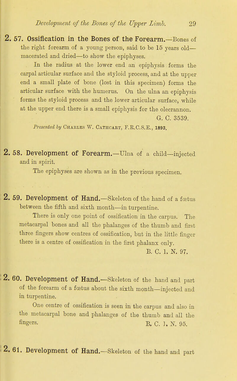 2. 57. Ossification in the Bones of the Forearm.—Bones of the right forearm of a young person, said to be 15 years old— macerated and dried—to show the epiphyses. In the radius at the lower end an epiphysis forms the carpal articular surface and the styloid process, and at the upper end a small plate of bone (lost in this specimen) forms the articular surface with the humerus. On the ulna an epiphysis forms the styloid process and the lower articular surface, while at the upper end there is a small epiphysis for the olecrannon. G. C. 3539. Presented by Charles W. Cathcart, F.K.C.S.E., 1893. 2. 58. Development of Forearm.—Ulna of a child—injected and in spirit. The epiphyses are shown as in the previous specimen. 2. 59. Development Of Hand.—Skeleton of the hand of a fcetus between the fifth and sixth month—in turpentine. There is only one point of ossification in the carpus. The metacarpal bones and all the phalanges of the thumb and first three fingers show centres of ossification, but in the little finger there is a centre of ossification in the first phalanx only. B. C. 1. TS. 97. 2. 60. Development Of Hand.—Skeleton of the hand and part of the forearm of a fcetus about the sixth month—injected and in turpentine. One centre of ossification is seen in the carpus and also in the metacarpal bone and phalanges of the thumb and all the fing«rs- B. C. ]. N. 95. ^. 61. Development of Hand.—Skeleton of the hand and part