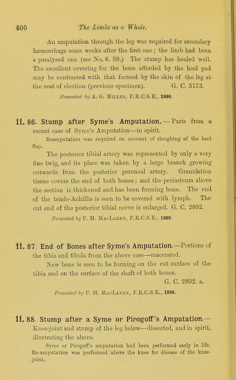 An amputation through the leg was required for secondary haemorrhage some weeks after the first one; the limb had been a paralysed one (see No. 6. 59.) The stump has healed well. The excellent covering for the bone afforded by the heel pad may be contrasted with that formed by the skin of the leg at the seat of election (previous specimen). G. C. 3173. Presented by A. G. Miller, F.R.C.S.E., 1890. 11. 86. Stump after Syme's Amputation. — Parts from a recent case of Syme's Amputation—in spirit. Reampntation was required on account of sloughing of the heel flap. The posterior tibial artery was represented by only a very fine twig, and its place was taken by a large branch growing outwards from the posterior peroneal artery. Granulation tissue covers the end of both bones ; and the periosteum above the section is thickened and has been forming bone. The end of the tendo-Achillis is seen to be covered with lymph. The cut end of the posterior tibial nerve is enlarged. G. C. 2802. Presented by P. H. MacLaken, F.R.C.S.E., 1888. 11. 87. End of Bones after Syme's Amputation—Portions of the tibia and fibula from the above case—macerated. New bone is seen to be forming on the cut surface of the- tibia and on the surface of the shaft of both bones. G. C. 2802. a. Presented by P. H. MacLaiien, F.R.C.S.E., 1888. 11. 88. Stump after a Syme or Pirogoff's Amputation- Knee-joint and stump of the leg below—dissected, and in spirit,, illustrating the above. Syme or Pirogoff's amputation had been performed early in life. Re-amputation was performed ' above the knee for disease of the knee- joint.
