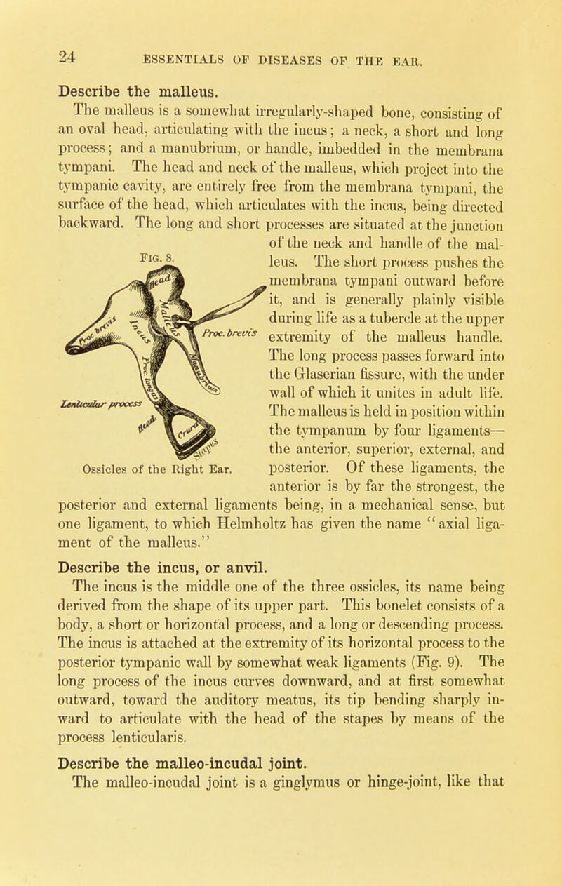 Describe the malleus. The malleus is a somewhat irregularly-shaped bone, consisting of an oval head, articulating with the incus; a neck, a short and long process; and a manubrium, or handle, imbedded in the membrana tympani. The head and neck of the malleus, which project into the tympanic cavity, are entirely free from the membrana tympani, the surface of the head, which articulates with the incus, being directed backward. The long and short processes are situated at the junction of the neck and handle of the mal- leus. The short process pushes the membrana tympani outward before it, and is generally plainly visible during life as a tubercle at the upper extremity of the malleus handle. The long process passes forward into the Grlaserian fissure, with the under wall of which it unites in adult life. The malleus is held in position within the tympanum by four ligaments— the anterior, superior, external, and Ossicles of the Right Ear. posterior. Of these ligaments, the anterior is by far the strongest, the posterior and external ligaments being, in a mechanical sense, but one ligament, to which Helmholtz has given the name axial liga- ment of the malleus. Describe the incus, or anvil. The incus is the middle one of the three ossicles, its name being derived from the shape of its upper part. This bonelet consists of a body, a short or horizontal process, and a long or descending process. The incus is attached at the extremity of its horizontal process to the posterior tympanic wall by somewhat weak ligaments (Fig. 9). The long process of the incus curves downward, and at first somewhat outward, toward the auditory meatus, its tip bending sharply in- ward to articulate with the head of the stapes by means of the process lenticularis. Describe the malleo-incudal joint. The malleo-incudal joint is a ginglymus or hinge-joint, like that