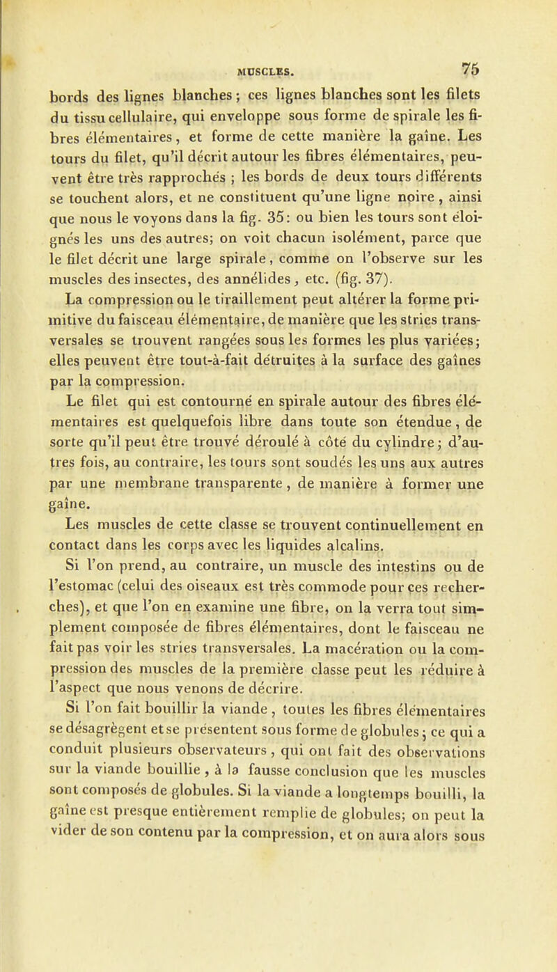 bords des lignes blanches ; ces lignes blanches sont les filets du tissucellulaire, qui enveloppe sous forme de spirale les fi- bres elementaires, et forme de cette maniere la gaine. Les tours du filet, qu'il decrit autour les fibres elementaires, peu- vent etre tres rapproclie's ; les bords de deux tours differents se touchent alors, et ne constituent qu'une ligne noire, ainsi que nous le voyons dans la fig. 35: ou bien les tours sont eloi- gnes les uns des autres; on voit chacun isolement, parce que le filet decrit une large spirale, comme on I'observe sur les muscles desinsectes, des annelides, etc. (fig. 37). La compression ou le tiraillement peut alteier la forme pri- mitive du faisceau elementaire, de maniere que les strics trans- versales se trouvent rangees sous les formes les plus varices; elles peuvent etre tout-a-fait detruites a la surface des gaines par la compression. Le filet qui est contourqe en spirale autour des fibres ele- mentaires est quelquefois libre dans toute son etendue, de sorte qu'il peul etre trouve d^roule a cote du cylindre; d'au- tres fois, au contraire, les tours sont sondes leg ung aux autres par une membrane transparente, de maniere a former une gaine. Les muscles de cette classe se trouvent continuellement en contact dans les corps avec les liquides alcalins. Si Von prend, au contraire, un muscle des intestins ou de I'estomac (celui des oiseaux est tres commode pour pes recher- ches], et que Ton en examine une fibre, on la verra tout sina- plement composee de fibres elementaires, dont le faisceau ne fait pas voir les stries transversales. La maceration ou la com- pression des muscles de la premiere classe peut les reduire a I'aspect que nous venons de decrire. Si Ton fait bouillir la viande , toules les fibres elementaires sedesagregent etse presentent sous forme de globules; ce quia conduit plusieurs observateurs, qui ont fait des observations sur la viande bouillie , k la fausse conclusion que les muscles sont composes de globules. Si la viande a longtemps bouilli, la gaine est presque entierement renipliede globules; on peut la vider de son contenu par la compression, et on aura alors sous