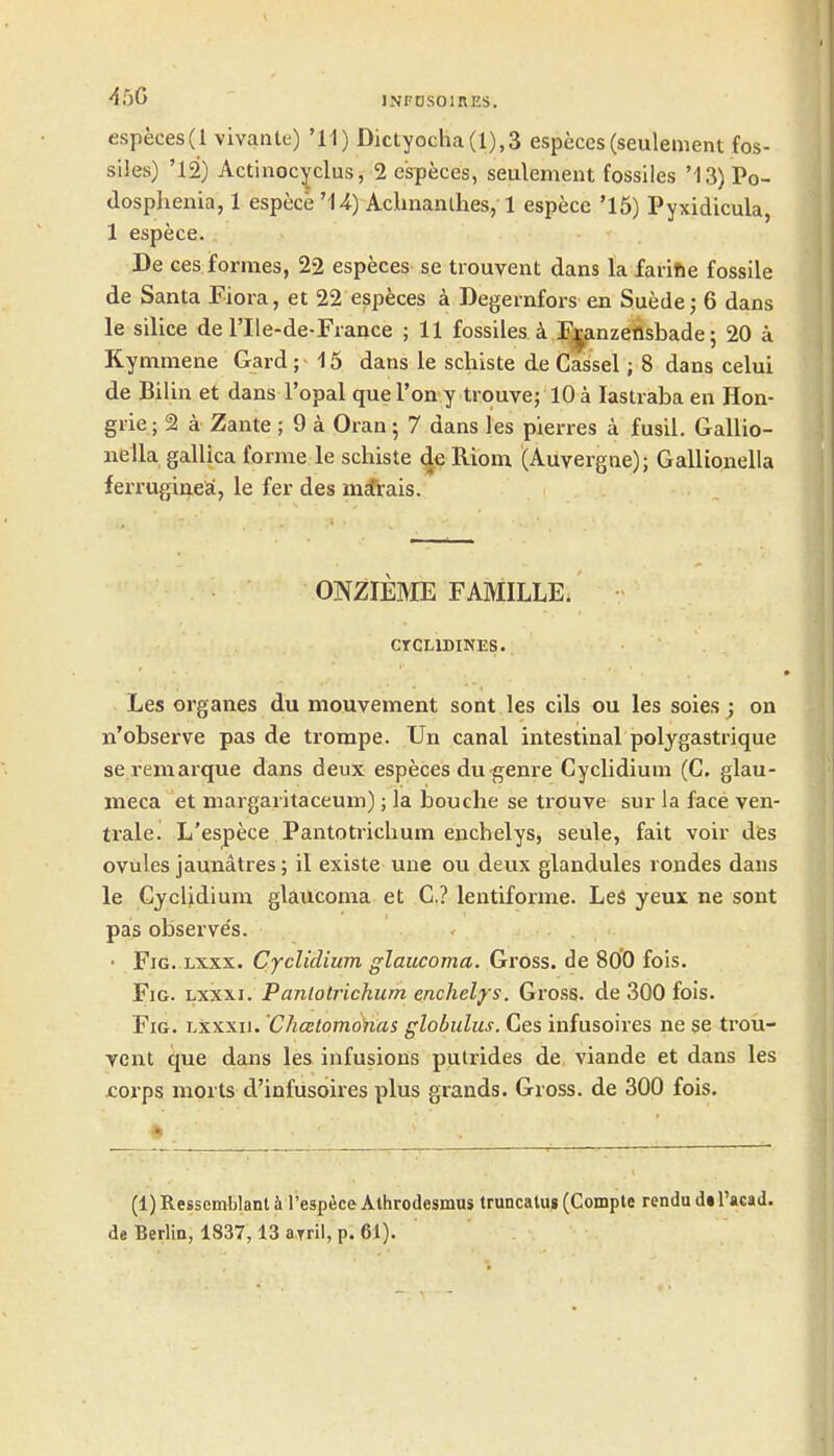 especes(l vivante) '11) Dictyocha(l),3 especes (seulement fos- siles) '12) Actiiiocyclus, 2 especes, seulement fossiles '13) Po- dosphenia, 1 espece 'U) Admanlhes, 1 espece '16) Pyxidicula, 1 espece. De ces formes, 22 especes se trouvent dans la farifte fossile de Santa Flora, et 22 especes a Degernfors en Suede; 6 dans le silice de I'lle-de-France ; 11 fossiles i F^anzeflsbade; 20 a Kymmene Gard ; 15 dans le scliiste de Cassel; 8 dans celui de Bilin et dans I'opal queTony trouve; 10 a lastraba en Hon- grie; 2 a Zante ; 9 a Oran 5 7 dans les pierres a fusil. Gallio- nella gallica forme le scliiste de Riom (Auvergne); Gallionelia ferrugiiiea, le fer des nicfrais. ONZIEME FAMILLE. CrCLlDINES. Les organes du mouvement sont les cils ou les soies ; on n'observe pas de trompe. Un canal intestinal polygastrique seremarque dans deux especes du^enre Cyclidium (C. glau- meca et niargaritaceum); la bouche se trouve sur la face ven- trale. L'espece Pantotrichum enchelys, seule, fait voir des ovules jaunatres; il existe une ou deux glandules rondes dans le Cyclidium glaucoma et C? lentiforme. Les yeux ne sont pas observe's. • Fig. Lxxx. Cyclidium glaucoma. Gross, de 800 fois. Fig. lxxxi. Pantotrichum enchelys. Gross, de 300 fois. Fig. lxxxii. ChcBtomonas globulus. Ces infusoires ne se trou- Tcnt que dans les infusions putrides de viande et dans les corps morts d'infusoires plus grands. Gross, de 300 fois. (1) Ressemblant i l'espece Alhrodesmus truncalug (Comple rendu d« I'acad. de Berlin, 1837,13 a.Tril, p. 61).