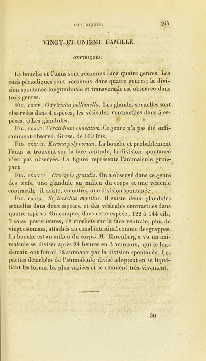 OXYTKlQUliS. YINGT-ET-UNIEME FAMILLE. OXYTRIQDES. La bouclie et Tanus sont reconnus dans quatre genres. Les ceufs periodiques sont reconnus dans quatre genres; la divi- sion spontanee longitudinale et transversale est observee dans trois genres. Fig. cxxv. Oxytrichapellionella. Les glandes sexuelles sont obseryees dans 4 especes, les vesicules contractiles dans 5 es- peces. t) Les glandules. Fig. cxx\i. Ceratidium cuneatum.Cegexire n'a. pas ete suffi- sammeut observe. Gross, de 100 fois. Fio. cxxvii. Keronapolyporum. La boucbe et probablement I'anus se trouvent sur la face ventrale, la division spontanee n'est pas observee. La figure represente raniinalcule grim- pant- Fig. cxxviii. Uroslyla grandis. On a observe dans ce genre des ffiufsj une glandule au milieu du corps et une vesicule contractile; il existe, en outre, une division spontanee.. Fig. cxxix. Stylonichia mytilus. II existe deux- glandules sexuelles dans deux especes, et des vesicules contractiles dans quatre especes. On compte, dans cette espece, 122 a 144 cils, 3 soies posterieures, 18 crochets sur la face ventrale, plus de vingt estomacs, attaches au canal intestinal comme des grappes. La bouche est au milieu du corps. M. Ehrenberg a vu un ani- malcule se diviser apres 24 heures en 3 animaux, qui le len- demain ont fourni 12 animaux par la division spontanee. Les parties de'tachees de I'aninialcule divise adoptent en se lique'- fiant les formes les plus varices et se remuent tres-vivement. 30