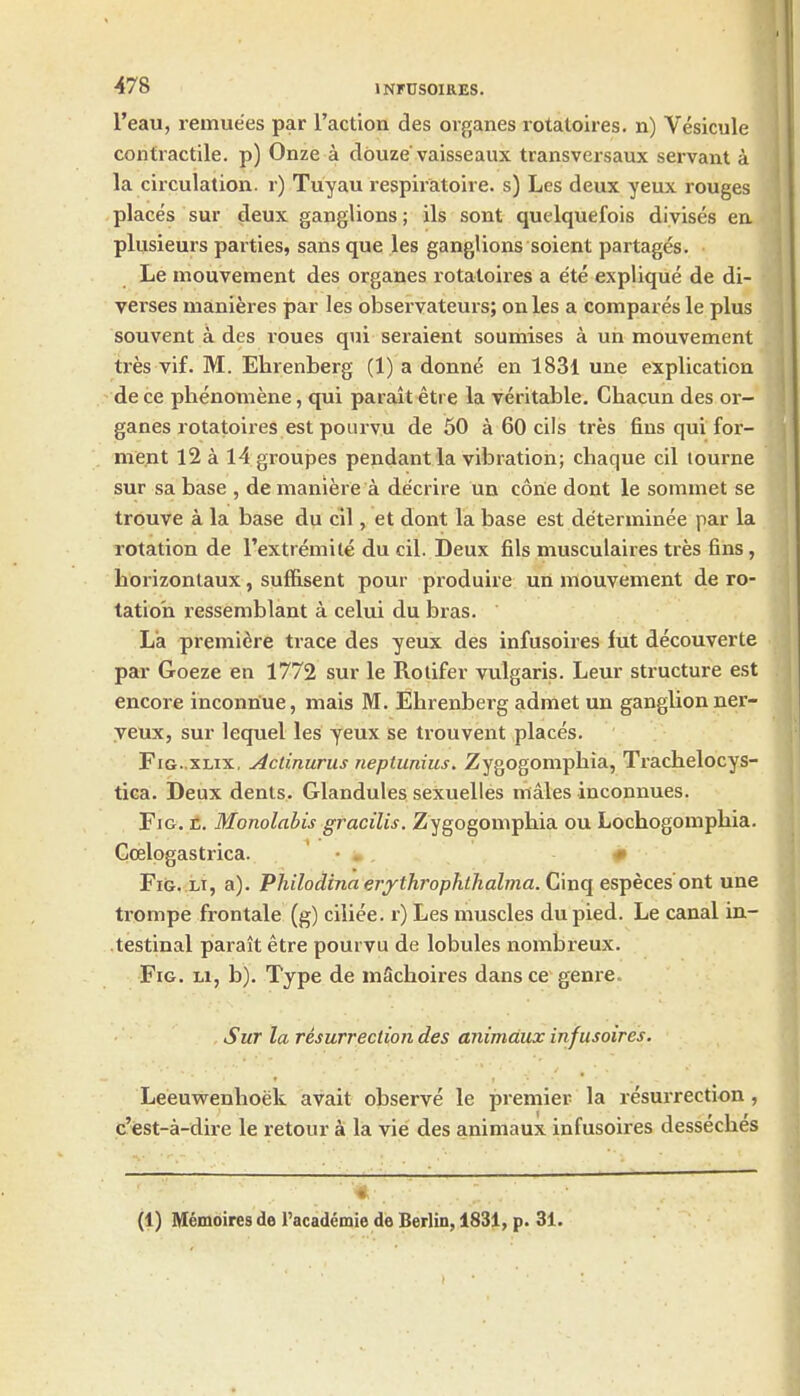 I'eau, remue'es par Taction des organes rotatoires. n) Vesicule contractile, p) Onze a dbuze vaisseaux transversaux servant a la circulation, r) Tuyau respiratoire. s) Les deux yeux rouges places sur deux ganglions; ils sont quelquefois diyises en plusieurs parties, sans que les ganglions soient partag^s. Le mouvement des organes rotatoires a ete explique de di- verses manieres par les observateurs; on les a compares le plus souvent a des roues qiii seraient soumises a un mouvement tres vif. M. Elirenberg (1) a donne en 1831 une explication de ce phenomene, qui parait etre la veritable. Chacun des or- ganes rotatoires est poiirvu de 50 a 60 cils tres fins qui for- ment 12 a l4groupes pendant la vibration; chaque cil lourne sur sa base , de maniere a decrire un cone dont le sommet se trouve a la base du cil, et dont la base est determinee par la rotation de I'extremile du cil. Deux fils musculaires tres fins, borizontaux, suffisent pour produire un mouvement de ro- tation ressemblant a celui du bras. La premiere trace des yeux des infusoires iut decouverte par Goeze en 1772 sur le Rotifer vulgaris. Leur structure est encore inconriue, mais M. Ebrenberg admet un ganglion ner- yeux, sur lequel les yeux se trouvent places. FiG. xux, Actinurus neptunius. Zygogompbia, Trachelocys- tica. Deux dents. Glandules sexuelles males inconnues. Fig. e. Monolabis gracilis. Zygogomphia ou Lochogompbia. Ccelpgastrica. ' • , , - ■» FiG,:ii, a). Philodina ei-j^throphthalma. Ciuq especes'ont une trompe frontale (g) ciliee. r) Les muscles dupied. Le canal in- testinal parait etre pourvu de lobules nombreux. Fig. li, b). Type de mScboires dans ce genre. Sur la resurrection des animdux infusoires. Leeuwenboek avait observe le premier la resurrection, c'est-a-dir-e le retour a la vie des animaux infusoires dessecbes —. ■ / (1) Memoires de I'academie de Berlin, 1831, p. 31.