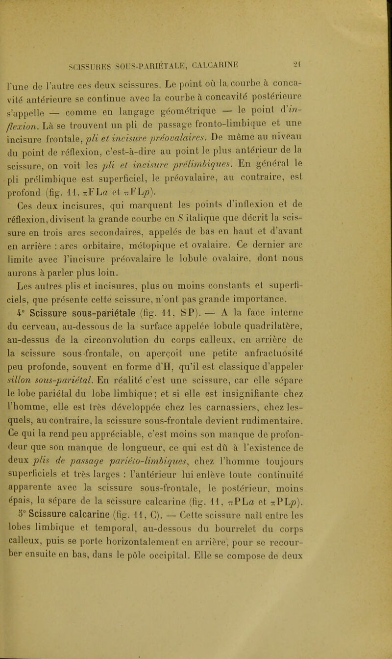 SC1SSURES SOUS-PARIETALE, CALGARINE 2\ I'une de I'autre ces deux scissures. Le point ou La courbe a conca- vity anterieure so continue avec la courbe a concavite posterieure s'appelle — comme en langage ge'ome'trique — le point dm- flexion.Lhse trouvenl un pli de passage fronto-limbique et une incisure frontale, pli et incisure prdovalaires. De merae au niveau .hi point de reflexion, c'est-a-dire au point le plus antdrieur de la scissure. on voit les pli et incisure prelimbiques. En general le pli prelimbique est superficiel, le preovalaire, au contraire, est profond (fig. \\,-YLa el - Vhp). Ces deux incisures, qui marquent les points d'inflexion et de reflexion, divisent la grande courbe en S italique que decrit la scis- sure en trois arcs secondaires, appeles de bas en haut et d'avant en arriere : arcs orbitaire, metopique et ovalaire. Ce dernier arc limite avec 1'incisure preovalaire le lobule ovalaire. dont nous aurons a parler plus loin. Les autres plis et incisures, plus ou moins constants et superti- ciels, que presente cette scissure, n'ont pas grande importance. 4° Scissure sous-parigtale (fig. H, SP). — A la face interne du cerveau, au-dessous de la surface appelee lobule quadrilatere, au-dessus de la circonvolution du corps calleux, en arriere de la scissure sous frontale, on apercoit une petite anfracluosite' peu profonde, souvent en forme d'H, qu'il est classique d'appeler sillon sous-parietal. En rdalite c'est une scissure, car elle siSpare le lobe parietal du lobe limbique; et si elle est insignifiante chez l'homme, elle est tres de'veloppe'e chez les carnassiers, chez les- quels, au contraire, la scissure sous-frontale devient rudimentaire. Ce qui la rend peu appreciable, c'est moins son manque de profon- deur que son manque de longueur, ce qui est du a l'existence de deux plis da passage parieio-limbiqucs, chez l'homme toujours superliciels et tres largcs : l'ante'rieur mi enleve loute continuile apparente avec la scissure sous-frontale, le postdrieur, moins epais, la sdpare de la scissure calcarine (fig. 11, xPLa et ttPL^). 5° Scissure calcarine (fig. I I, C). — Celte scissure nait enlrc les lobes limbique et. temporal, au-dessous du bourrelet du corps calleux, puis se porte horizontalement en arrie-re, pour so recour- ber ensuite en bas, dans le pole occipital. Elle se compose de deux