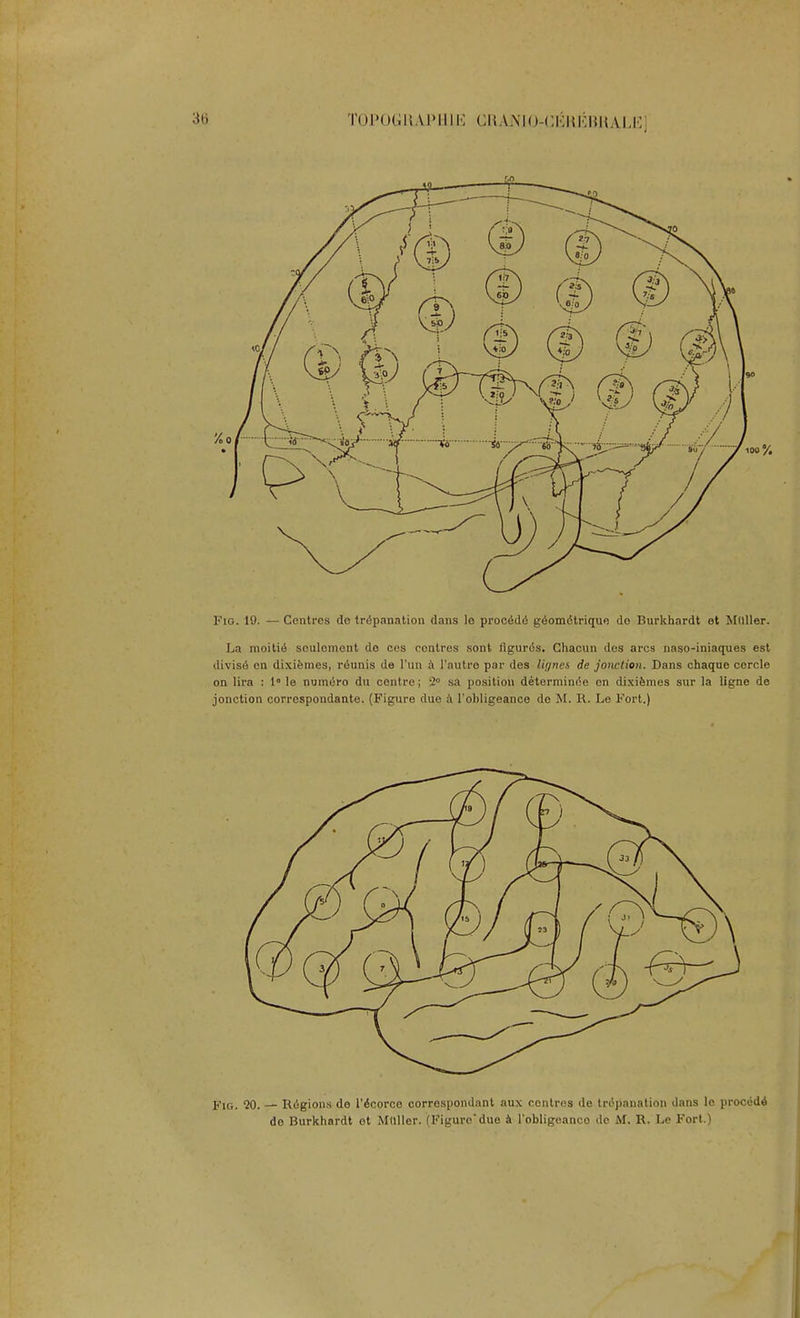 T0P0GRAPH1E CRANIO-CEKEBHALE] Fig. 19. — Centres do trepanation dans lo procede geom<5triqu<) de Burkhardt et Mllller. La moitie sculoment de ces contres sont figures. Chacun des arcs naso-iniaques est divise en dixifemes, reunis de 1'un a l'autre par des lujnei de jonction. Dans chaqne corcle on lira : 1° le numero du centre; 2° sa position determined en dixifemes sur la ligne de jonction corrospondante. (Figure due a l'obligeance de M. R. Le Fort.) Fig. 20. — Regions de l'ecorco correspondant aux contres de trepanation dans le procede de Burkhardt ot Mllller. (Figurodue a l'obligeanco de M. R. Le Fort.)
