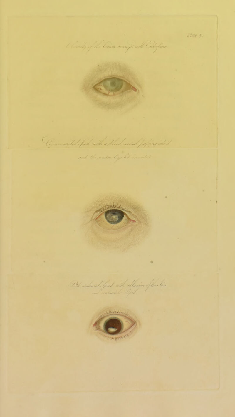 7 '/•/irtf //f»vv//// / et f y/( ^ /. / «7yrfi ^/tjfft'yr tiy'jCttHi -€'T\ yi y ny , if .'/r/ 7^^*- y( /.v/^r f f / V'y^ / I o t///w t't'/f^:4uV-yx ’ >*/!// .