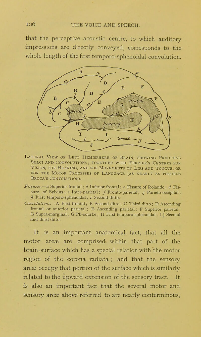 io6 that the perceptive acoustic centre, to which auditory impressions are directly conveyed, corresponds to the whole length of the first temporo-sphenoidal convolution. Lateral View of Left Hemisphere of Brain, showing Principal Sulci and Convolutions ; together with Ferrier's Centres for Vision, for Hearing, and for Movements of Lips and Tongue, or for the Motor Processes of Language (as nearly as possible Broca's Convolution). Fissures.—a Superior frontal; b Inferior frontal; c Fissure of Rolando ; d Fis- sure of Sylvius ; e Inter-parietal; / Fronto-parietal; g Parieto-occipital; h First temporo-sphenoidal; i Second ditto. Convolutions.—A First frontal; B Second ditto ; C Third ditto ; D Ascending frontal or anterior parietal ; E Ascending parietal; F Superior parietal; G Supra-marginal; G Pli-courbe ; H First temporo-sphenoidal; 1J Second and third ditto. It is an important anatomical fact, that all the motor areae are comprised within that part of the brain-surface which has a special relation with the motor region of the corona radiata ; and that the sensory areae occupy that portion of the surface which is similarly related to the upward extension of the sensory tract. It is also an important fact that the several motor and sensory areae above referred to are nearly conterminous,