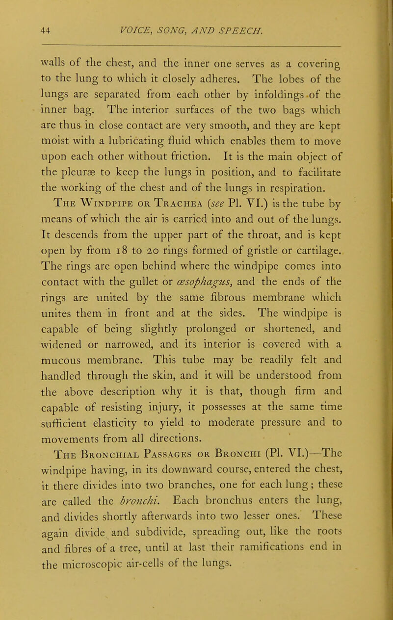 walls of the chest, and the inner one serves as a covering to the lung to which it closely adheres. The lobes of the lungs are separated from each other by infoldings of the inner bag. The interior surfaces of the two bags which are thus in close contact are very smooth, and they are kept moist with a lubricating fluid which enables them to move upon each other without friction. It is the main object of the pleurae to keep the lungs in position, and to facilitate the working of the chest and of the lungs in respiration. The Windpipe or Trachea (see PI. VI.) is the tube by means of which the air is carried into and out of the lungs. It descends from the upper part of the throat, and is kept open by from 18 to 2,0 rings formed of gristle or cartilage. The rings are open behind where the windpipe comes into contact with the gullet or oesophagus, and the ends of the rings are united by the same fibrous membrane which unites them in front and at the sides. The windpipe is capable of being slightly prolonged or shortened, and widened or narrowed, and its interior is covered with a mucous membrane. This tube may be readily felt and handled through the skin, and it will be understood from the above description why it is that, though firm and capable of resisting injury, it possesses at the same time sufficient elasticity to yield to moderate pressure and to movements from all directions. The Bronchial Passages or Bronchi (PI. VI.)—The windpipe having, in its downward course, entered the chest, it there divides into two branches, one for each lung; these are called the bronchi. Each bronchus enters the lung, and divides shortly afterwards into two lesser ones. These again divide and subdivide, spreading out, like the roots and fibres of a tree, until at last their ramifications end in the microscopic air-cells of the lungs.
