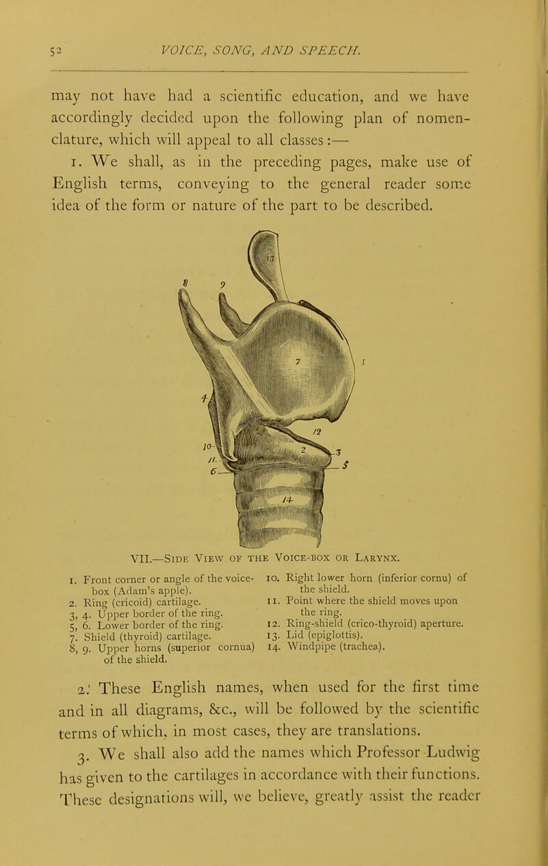 may not have had a scientific education, and we have accordingly decided upon the following plan of nomen- clature, which will appeal to all classes:— i. We shall, as in the preceding pages, make use of English terms, conveying to the general reader some idea of the form or nature of the part to be described. VII.—Side View of the Voice-box or Larynx. 1. Front corner or angle of the voice- box (Adam's apple). 2. Ring (cricoid) cartilage. 3. 4. Upper border of the ring. 5, 6. Lower border of the ring. 7. Shield (thyroid) cartilage. 8, 9. Upper horns (superior cornua) of the shield. 10. Right lower horn (inferior cornu) of the shield. 11. Point where the shield moves upon the ring. 12. Ring-shield (crico-thyroid) aperture. 13. Lid (epiglottis). 14. Windpipe (trachea). 1: These English names, when used for the first time and in all diagrams, &c, will be followed by the scientific terms of which, in most cases, they are translations. 3. We shall also add the names which Professor Ludwig has given to the cartilages in accordance with their functions. These designations will, we believe, greatly assist the reader