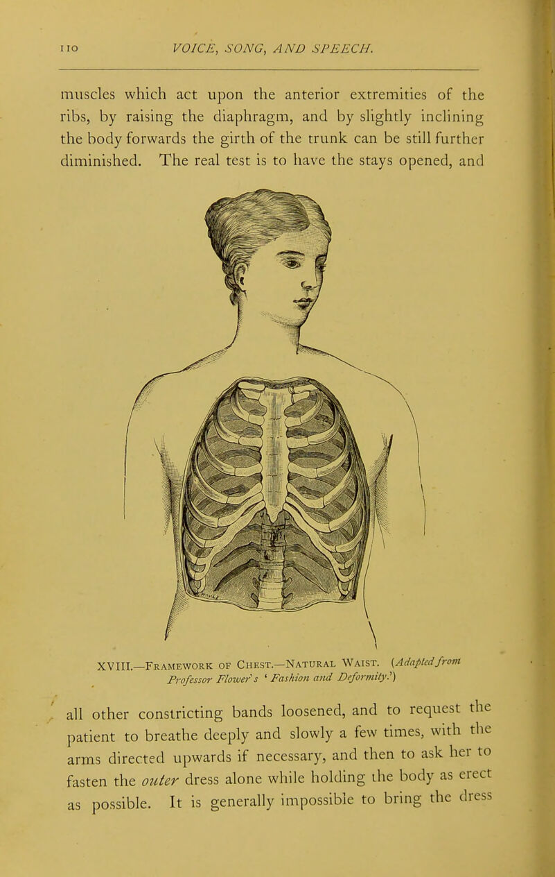 muscles which act upon the anterior extremities of the ribs, by raising the diaphragm, and by slightly inclining the body forwards the girth of the trunk can be still further diminished. The real test is to have the stays opened, and XVIII—Framework of Chest.—Natural Waist. {Adaptedfrom Professor Flower'j ' Fashion and Deformity') all other constricting bands loosened, and to request the patient to breathe deeply and slowly a few times, with the arms directed upwards if necessary, and then to ask her to fasten the outer dress alone while holding the body as erect as possible. It is generally impossible to bring the dress