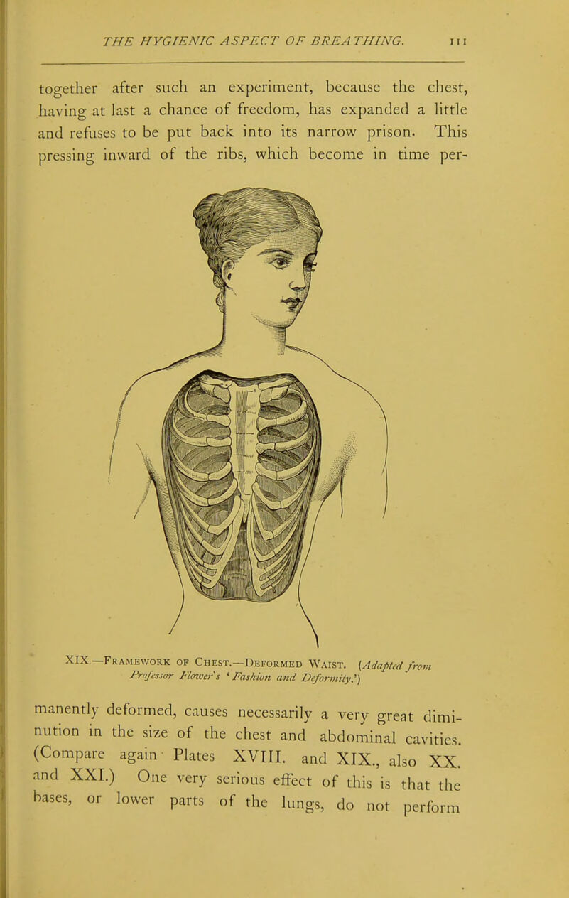 together after such an experiment, because the chest, having at last a chance of freedom, has expanded a little and refuses to be put back into its narrow prison. This pressing inward of the ribs, which become in time per- XIX —Framework of Chest.—Deformed Waist. (Adapted from Professor Flower's ' Fashion and Deformity.') manently deformed, causes necessarily a very great dimi- nution in the size of the chest and abdominal cavities. (Compare again Plates XVIII. and XIX., also XX. and XXI.) One very serious effect of this is that the bases, or lower parts of the lungs, do not perform