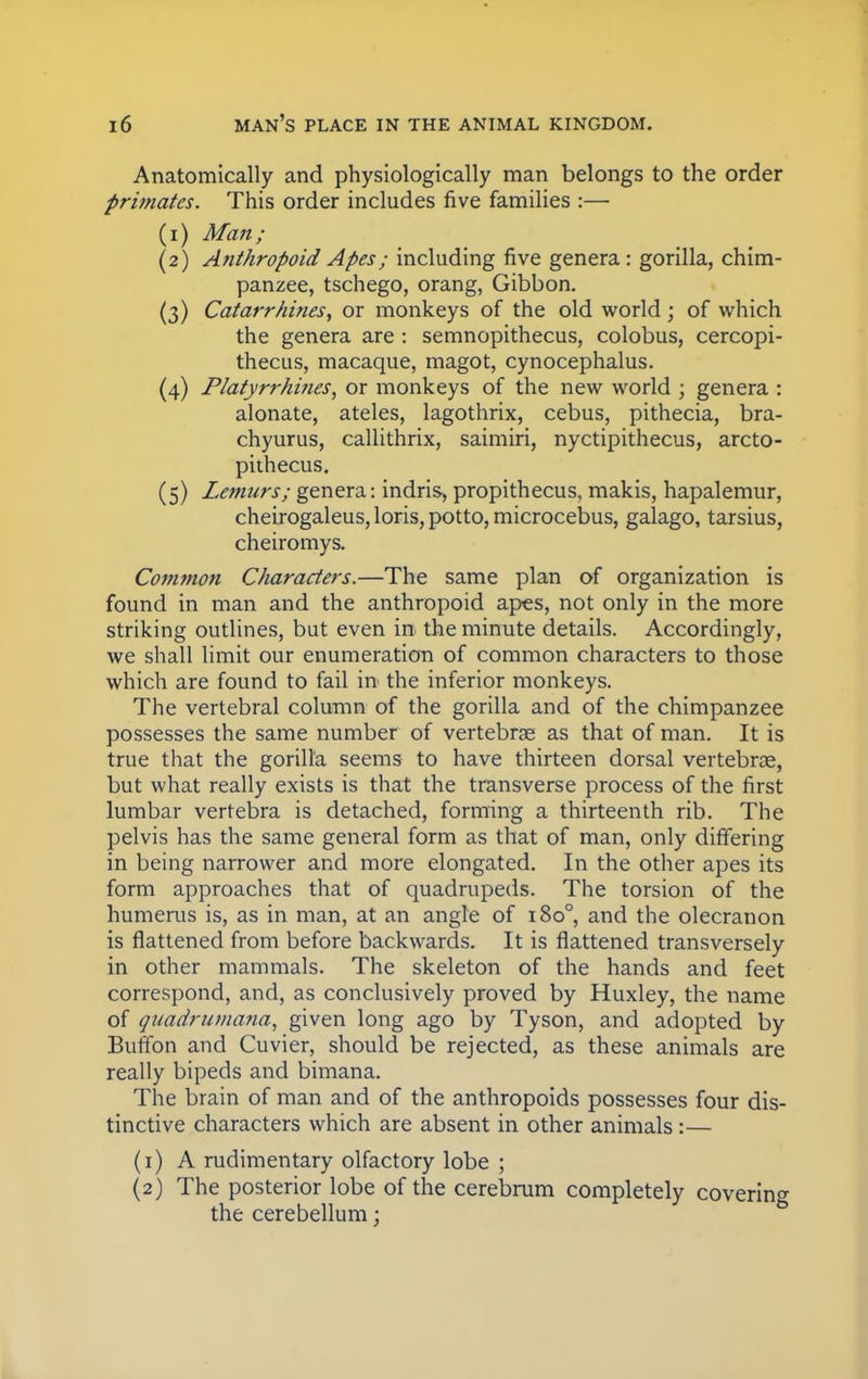 Anatomically and physiologically man belongs to the order primates. This order includes five families :— (1) Man; (2) Anthropoid Apes; including five genera : gorilla, chim- panzee, tschego, orang, Gibbon. (3) Catarrhines, or monkeys of the old world; of which the genera are : semnopithecus, colobus, cercopi- thecus, macaque, magot, cynocephalus. (4) Platyrrhines, or monkeys of the new world ; genera : alonate, ateles, lagothrix, cebus, pithecia, bra- chyurus, callithrix, saimiri, nyctipithecus, arcto- pithecus. (5) Lemurs; genera: indris, propithecus, makis, hapalemur, cheirogaleus, loris, potto, microcebus, galago, tarsius, cheiromys. Common Characters.—The same plan of organization is found in man and the anthropoid apes, not only in the more striking outlines, but even in the minute details. Accordingly, we shall limit our enumeration of common characters to those which are found to fail in the inferior monkeys. The vertebral column of the gorilla and of the chimpanzee possesses the same number of vertebrae as that of man. It is true that the gorilla seems to have thirteen dorsal vertebrae, but what really exists is that the transverse process of the first lumbar vertebra is detached, forming a thirteenth rib. The pelvis has the same general form as that of man, only differing in being narrower and more elongated. In the other apes its form approaches that of quadrupeds. The torsion of the humerus is, as in man, at an angle of 1800, and the olecranon is flattened from before backwards. It is flattened transversely in other mammals. The skeleton of the hands and feet correspond, and, as conclusively proved by Huxley, the name of guadrumana, given long ago by Tyson, and adopted by BurTon and Cuvier, should be rejected, as these animals are really bipeds and bimana. The brain of man and of the anthropoids possesses four dis- tinctive characters which are absent in other animals:— (1) A rudimentary olfactory lobe ; (2) The posterior lobe of the cerebrum completely covering the cerebellum;