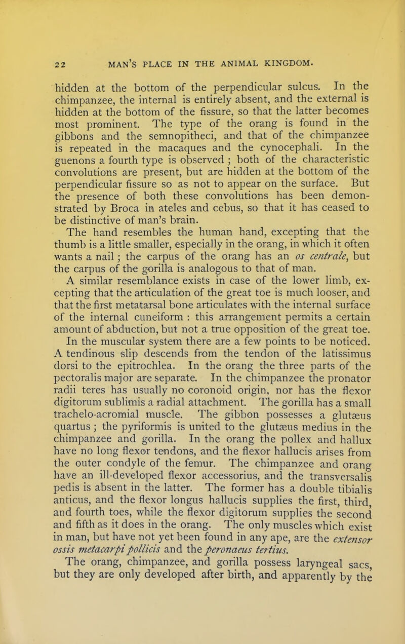hidden at the bottom of the perpendicular sulcus. In the chimpanzee, the internal is entirely absent, and the external is hidden at the bottom of the fissure, so that the latter becomes most prominent. The type of the orang is found in the gibbons and the semnopitheci, and that of the chimpanzee is repeated in the macaques and the cynocephali. In the guenons a fourth type is observed ; both of the characteristic convolutions are present, but are hidden at the bottom of the perpendicular fissure so as not to appear on the surface. But the presence of both these convolutions has been demon- strated by Broca in ateles and cebus, so that it has ceased to be distinctive of man's brain. The hand resembles the human hand, excepting that the thumb is a little smaller, especially in the orang, in which it often wants a nail; the carpus of the orang has an os centrale, but the carpus of the gorilla is analogous to that of man. A similar resemblance exists in case of the lower limb, ex- cepting that the articulation of the great toe is much looser, and that the first metatarsal bone articulates with the internal surface of the internal cuneiform : this arrangement permits a certain amount of abduction, but not a true opposition of the great toe. In the muscular system there are a few points to be noticed. A tendinous slip descends from the tendon of the latissimus dorsi to the epitrochlea. In the orang the three parts of the pectoralis major are separate. In the chimpanzee the pronator radii teres has usually no coronoid origin, nor has the flexor digitorum sublimis a radial attachment. The gorilla has a small trachelo-acromial muscle. The gibbon possesses a glutseus quartus; the pyriformis is united to the glutseus medius in the chimpanzee and gorilla. In the orang the pollex and hallux have no long flexor tendons, and the flexor hallucis arises from the outer condyle of the femur. The chimpanzee and orang have an ill-developed flexor accessorius, and the transversalis pedis is absent in the latter. The former has a double tibialis anticus, and the flexor longus hallucis supplies the first, third and fourth toes, while the flexor digitorum supplies the second and fifth as it does in the orang. The only muscles which exist in man, but have not yet been found in any ape, are the extensor ossis metacarpipollicis and theperonaeus tertius. The orang, chimpanzee, and gorilla possess laryngeal sacs but they are only developed after birth, and apparently by the