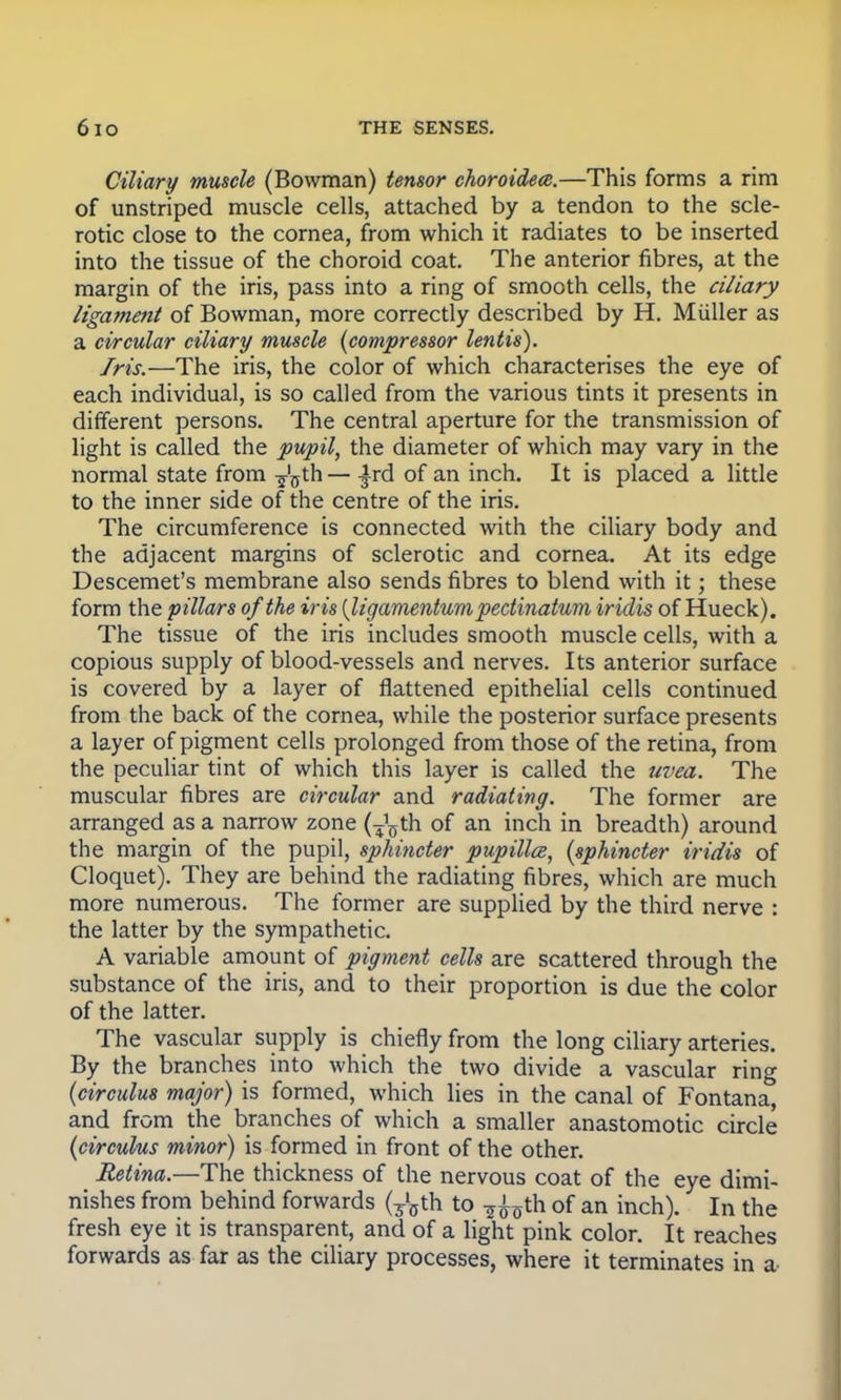 Ciliary muscle (Bowman) tensor choroidece.—This forms a rim of unstriped muscle cells, attached by a tendon to the scle- rotic close to the cornea, from which it radiates to be inserted into the tissue of the choroid coat. The anterior fibres, at the margin of the iris, pass into a ring of smooth cells, the ciliary ligament of Bowman, more correctly described by H. Miiller as a circular ciliary muscle (compressor lentis). Iris.—The iris, the color of which characterises the eye of each individual, is so called from the various tints it presents in different persons. The central aperture for the transmission of light is called the pupil, the diameter of which may vary in the normal state from -^th — ^rd of an inch. It is placed a little to the inner side of the centre of the iris. The circumference is connected with the ciliary body and the adjacent margins of sclerotic and cornea. At its edge Descemet's membrane also sends fibres to blend with it; these form the pillars of the iris (ligamentumpectinatum iridis of Hueck). The tissue of the iris includes smooth muscle cells, with a copious supply of blood-vessels and nerves. Its anterior surface is covered by a layer of flattened epithelial cells continued from the back of the cornea, while the posterior surface presents a layer of pigment cells prolonged from those of the retina, from the peculiar tint of which this layer is called the uvea. The muscular fibres are circular and radiating. The former are arranged as a narrow zone (^th of an inch in breadth) around the margin of the pupil, sphincter pupillce, (sphincter iridis of Cloquet). They are behind the radiating fibres, which are much more numerous. The former are supplied by the third nerve : the latter by the sympathetic. A variable amount of pigment cells are scattered through the substance of the iris, and to their proportion is due the color of the latter. The vascular supply is chiefly from the long ciliary arteries. By the branches into which the two divide a vascular ring (circulus major) is formed, which lies in the canal of Fontana, and from the branches of which a smaller anastomotic circle (circulus minor) is formed in front of the other. Retina.—The thickness of the nervous coat of the eye dimi- nishes from behind forwards (^th to -^th of an inch). In the fresh eye it is transparent, and of a light pink color. It reaches forwards as far as the ciliary processes, where it terminates in a