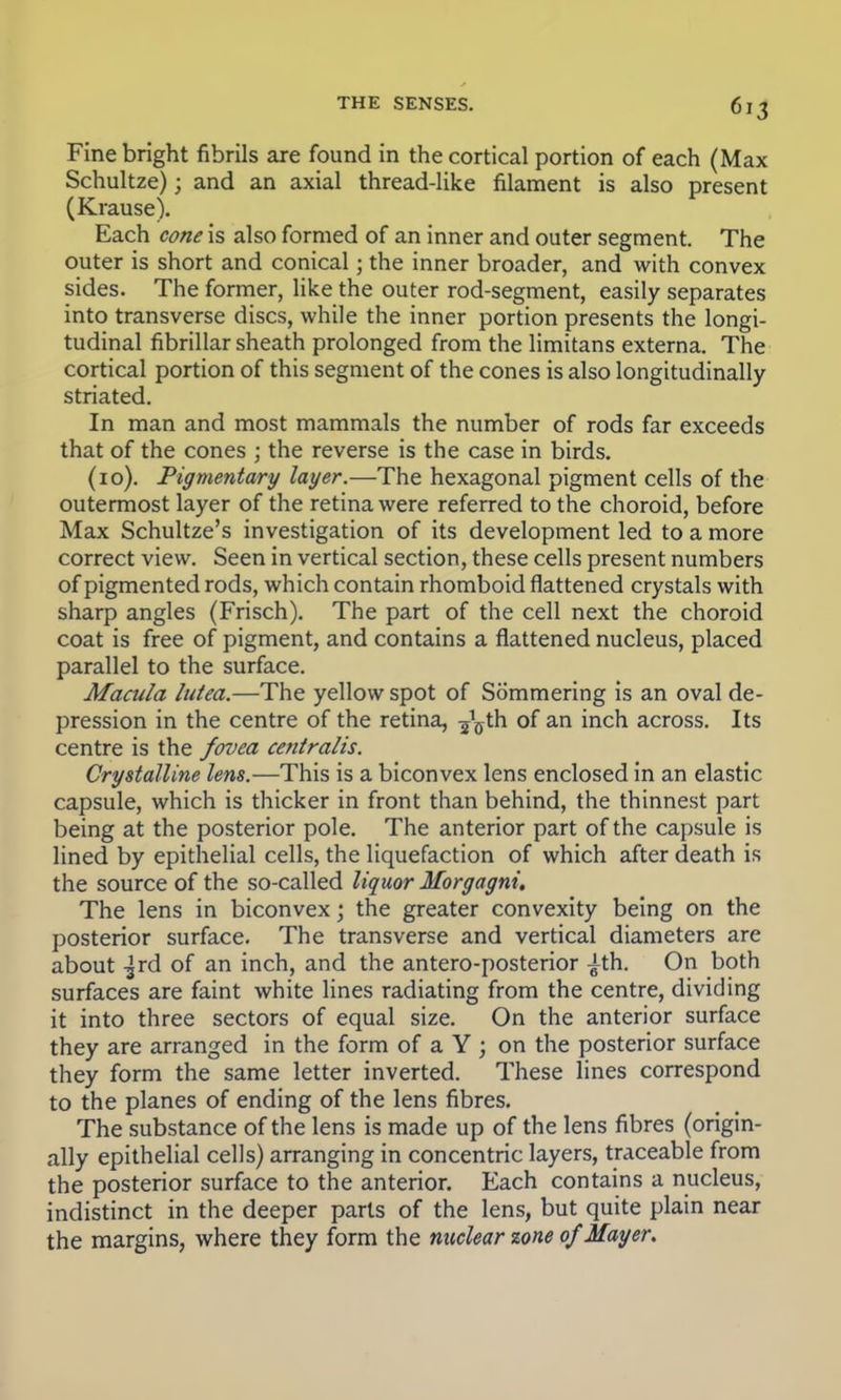 Fine bright fibrils are found in the cortical portion of each (Max Schultze); and an axial thread-like filament is also present (Krause). Each cone is also formed of an inner and outer segment. The outer is short and conical; the inner broader, and with convex sides. The former, like the outer rod-segment, easily separates into transverse discs, while the inner portion presents the longi- tudinal fibrillar sheath prolonged from the limitans externa. The cortical portion of this segment of the cones is also longitudinally striated. In man and most mammals the number of rods far exceeds that of the cones ; the reverse is the case in birds. (10). Pigmentary layer.—The hexagonal pigment cells of the outermost layer of the retina were referred to the choroid, before Max Schultze's investigation of its development led to a more correct view. Seen in vertical section, these cells present numbers of pigmented rods, which contain rhomboid flattened crystals with sharp angles (Frisch). The part of the cell next the choroid coat is free of pigment, and contains a flattened nucleus, placed parallel to the surface. Macula lutea.—The yellow spot of Sommering is an oval de- pression in the centre of the retina, ^th of an inch across. Its centre is the fovea centralis. Crystalline lens.—This is a biconvex lens enclosed in an elastic capsule, which is thicker in front than behind, the thinnest part being at the posterior pole. The anterior part of the capsule is lined by epithelial cells, the liquefaction of which after death is the source of the so-called liquor Morgagni. The lens in biconvex; the greater convexity being on the posterior surface. The transverse and vertical diameters are about -^rd of an inch, and the antero-posterior ^th. On both surfaces are faint white lines radiating from the centre, dividing it into three sectors of equal size. On the anterior surface they are arranged in the form of a Y ; on the posterior surface they form the same letter inverted. These lines correspond to the planes of ending of the lens fibres. The substance of the lens is made up of the lens fibres (origin- ally epithelial cells) arranging in concentric layers, traceable from the posterior surface to the anterior. Each contains a nucleus, indistinct in the deeper parts of the lens, but quite plain near the margins, where they form the nuclear zone of Mayer.