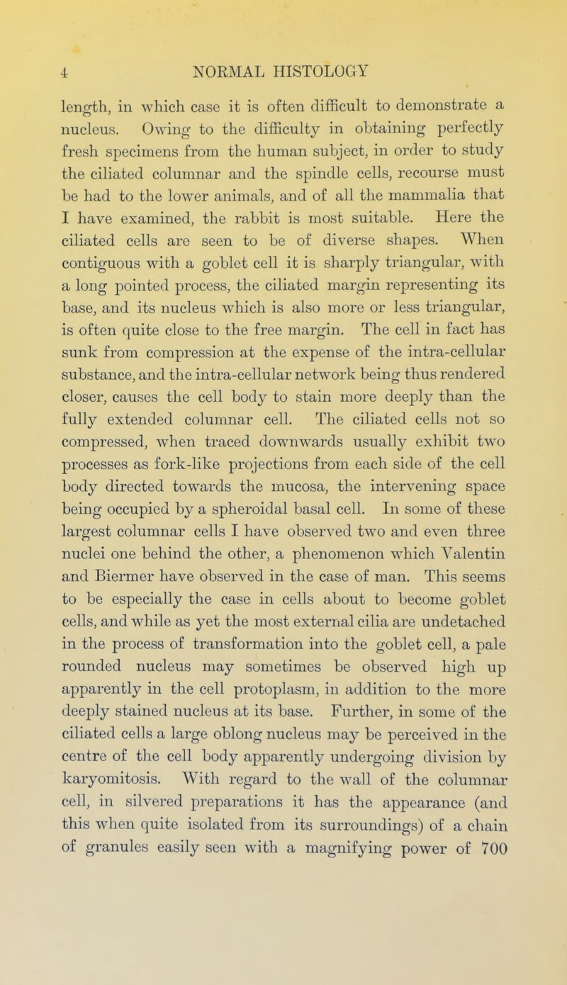 length, in which case it is often difficult to demonstrate a nucleus. Owing to the difficulty in obtaining perfectly fresh specimens from the human subject, in order to study the ciliated columnar and the spindle cells, recourse must be had to the lower animals, and of all the mammalia that I have examined, the rabbit is most suitable. Here the ciliated cells are seen to be of diverse shapes. When contiguous with a goblet cell it is sharply triangular, with a long pointed process, the ciliated margin representing its base, and its nucleus which is also more or less triangular, is often quite close to the free margin. The cell in fact has sunk from compression at the expense of the intracellular substance, and the intra-cellular network being thus rendered closer, causes the cell body to stain more deeply than the fully extended columnar cell. The ciliated cells not so compressed, when traced downwards usually exhibit two processes as fork-like projections from each side of the cell body directed towards the mucosa, the intervening space being occupied by a spheroidal basal cell. In some of these largest columnar cells I have observed two and even three nuclei one behind the other, a phenomenon which Valentin and Biermer have observed in the case of man. This seems to be especially the case in cells about to become goblet cells, and while as yet the most external cilia are undetached in the process of transformation into the goblet cell, a pale rounded nucleus may sometimes be observed high up apparently in the cell protoplasm, in addition to the more deeply stained nucleus at its base. Further, in some of the ciliated cells a large oblong nucleus may be perceived in the centre of the cell body apparently undergoing division by karyomitosis. With regard to the wall of the columnar cell, in silvered preparations it has the appearance (and this when quite isolated from its surroundings) of a chain of granules easily seen with a magnifying power of 700