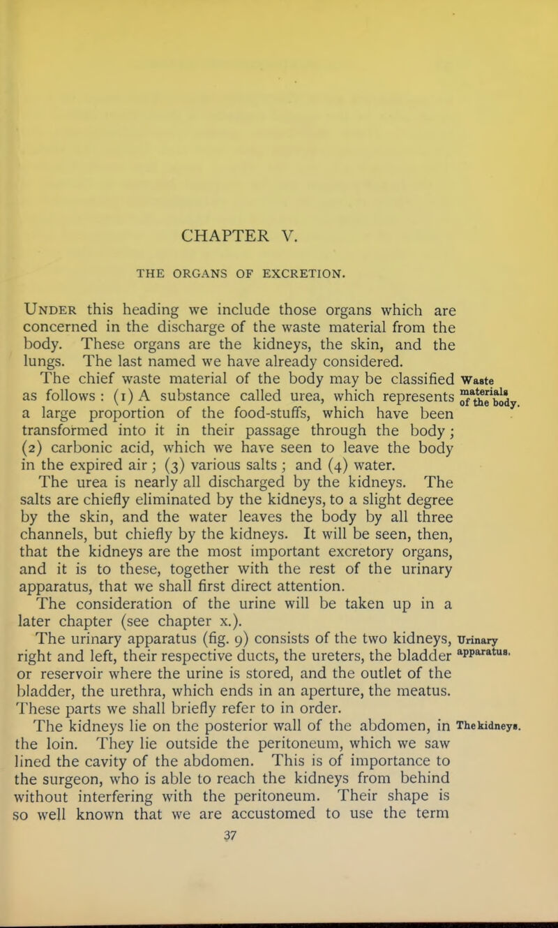 THE ORGANS OF EXCRETION. Under this heading we include those organs which are concerned in the discharge of the waste material from the body. These organs are the kidneys, the skin, and the lungs. The last named we have already considered. The chief waste material of the body may be classified Waste as follows: (i)A substance called urea, which represents ^a^body a large proportion of the food-stuffs, which have been transformed into it in their passage through the body; (2) carbonic acid, which we have seen to leave the body in the expired air; (3) various salts ; and (4) water. The urea is nearly all discharged by the kidneys. The salts are chiefly eliminated by the kidneys, to a slight degree by the skin, and the water leaves the body by all three channels, but chiefly by the kidneys. It will be seen, then, that the kidneys are the most important excretory organs, and it is to these, together with the rest of the urinary apparatus, that we shall first direct attention. The consideration of the urine will be taken up in a later chapter (see chapter x.). The urinary apparatus (fig. 9) consists of the two kidneys, urinary right and left, their respective ducts, the ureters, the bladder app^118' or reservoir where the urine is stored, and the outlet of the bladder, the urethra, which ends in an aperture, the meatus. These parts we shall briefly refer to in order. The kidneys lie on the posterior wall of the abdomen, in Thekidney*. the loin. They lie outside the peritoneum, which we saw lined the cavity of the abdomen. This is of importance to the surgeon, who is able to reach the kidneys from behind without interfering with the peritoneum. Their shape is so well known that we are accustomed to use the term