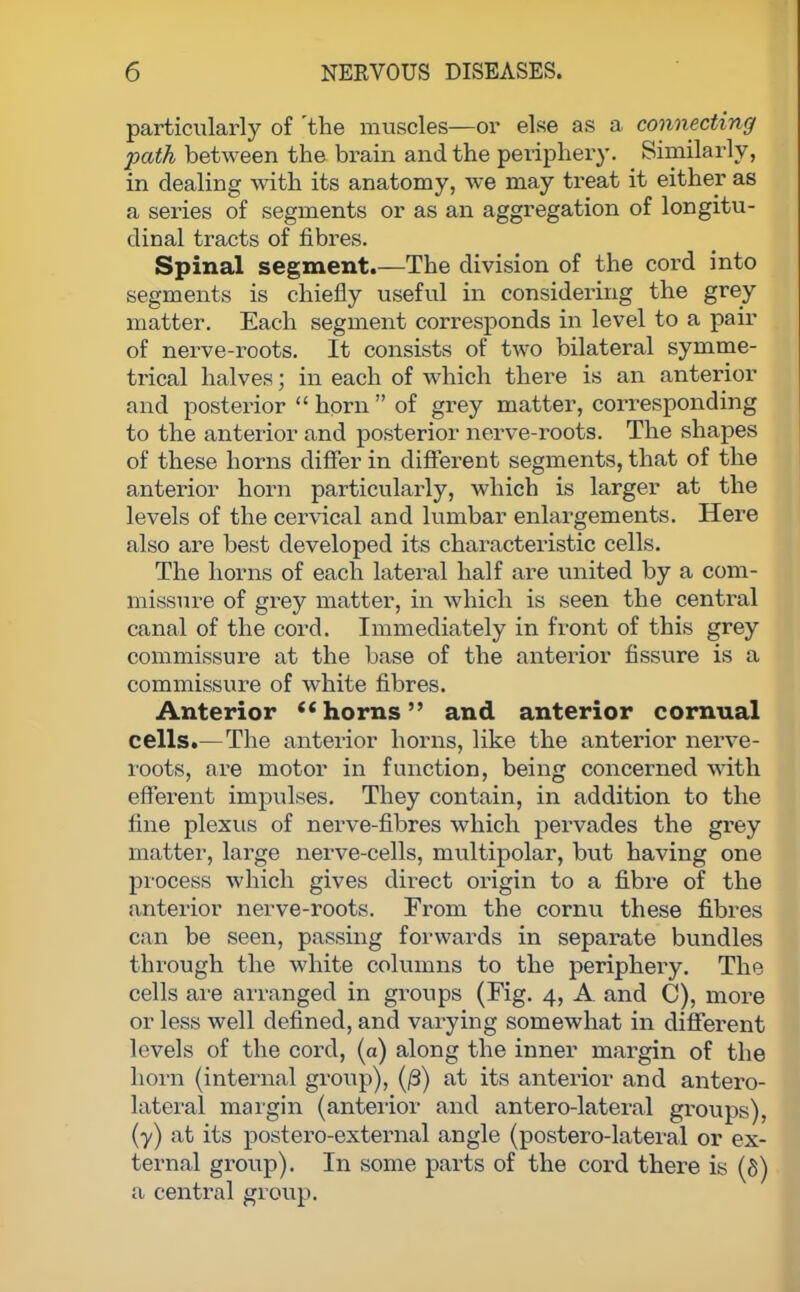 particularly of 'the muscles—or else as a connecting path between the brain and the periphery. Similarly, in dealing with its anatomy, we may treat it either as a series of segments or as an aggregation of longitu- dinal tracts of fibres. Spinal segment.—The division of the cord into segments is chiefly useful in considering the grey matter. Each segment corresponds in level to a pair of nerve-roots. It consists of two bilateral symme- trical halves; in each of which there is an anterior and posterior  horn  of grey matter, corresponding to the anterior and posterior nerve-roots. The shapes of these horns differ in different segments, that of the anterior horn particularly, which is larger at the levels of the cervical and lumbar enlargements. Here also are best developed its characteristic cells. The horns of each lateral half are united by a com- missure of grey matter, in which is seen the central canal of the cord. Immediately in front of this grey commissure at the base of the anterior fissure is a commissure of white fibres. Anterior horns and anterior cornual cells.—The anterior horns, like the anterior nerve- roots, are motor in function, being concerned with efferent impulses. They contain, in addition to the fine plexus of nerve-fibres which pervades the grey matter, large nerve-cells, multipolar, but having one process which gives direct origin to a fibre of the anterior nerve-roots. From the cornu these fibres can be seen, passing forwards in separate bundles through the white columns to the periphery. The cells are arranged in groups (Fig. 4, A and C), more or less well defined, and varying somewhat in different levels of the cord, (a) along the inner margin of the horn (internal group), (/3) at its anterior and antero- lateral margin (anterior and antero-lateral groups), (y) at its postero-external angle (postero-lateral or ex- ternal group). In some parts of the cord there is (8) a central group.