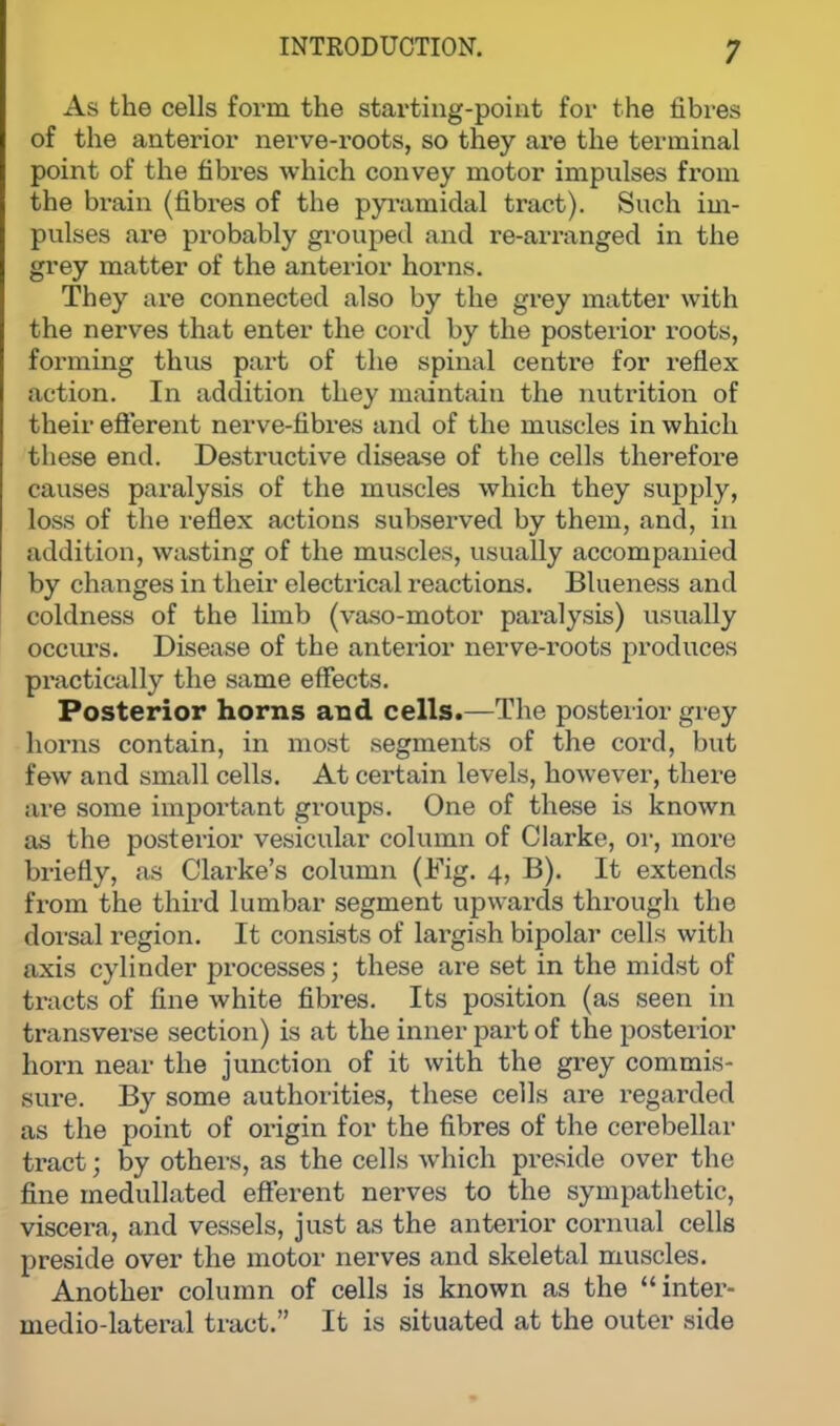 As the cells form the starting-point for the fibres of the anterior nerve-roots, so they are the terminal point of the fibres which convey motor impulses from the brain (fibres of the pyramidal tract). Such im- pulses are probably grouped and re-arranged in the grey matter of the anterior horns. They are connected also by the grey matter with the nerves that enter the cord by the posterior roots, forming thus part of the spinal centre for reflex ac tion. In addition they maintain the nutrition of their efferent nerve-fibres and of the muscles in which these end. Destructive disease of the cells therefore causes paralysis of the muscles which they supply, loss of the reflex actions subserved by them, and, in addition, wasting of the muscles, usually accompanied by changes in their electrical reactions. Blueness and coldness of the limb (vaso-motor paralysis) usually occurs. Disease of the anterior nerve-roots produces practically the same effects. Posterior horns and cells.—The posterior grey horns contain, in most segments of the cord, but few and small cells. At certain levels, however, there are some important groups. One of these is known as the posterior vesicular column of Clarke, or, more briefly, as Clarke's column (Fig. 4, B). It extends from the third lumbar segment upwards through the dorsal region. It consists of largish bipolar cells with axis cylinder processes; these are set in the midst of tracts of fine white fibres. Its position (as seen in transverse section) is at the inner part of the posterior horn near the junction of it with the grey commis- sure. By some authorities, these cells are regarded as the point of origin for the fibres of the cerebellar tract; by others, as the cells which preside over the fine medullated efferent nerves to the sympathetic, viscera, and vessels, just as the anterior cornual cells preside over the motor nerves and skeletal muscles. Another column of cells is known as the inter- medio-lateral tract. It is situated at the outer side