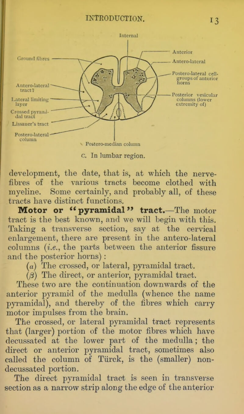 Internal column v Poitero-median column C. In lumbar region. development, the date, that is, at which the nerve- fibres of the various tracts become clothed with myeline. Some certainly, and probably all, of these tracts have distinct functions. Motor or pyramidal tract.—The motor tract is the best known, and we will begin with this. Taking a transverse section, say at the cervical enlargement, there are present in the antero-lateral columns (i.e., the parts between the anterior fissure and the posterior horns) : («) The crossed, or lateral, pyramidal tract. (/3) The direct, or anterior, pyramidal tract. These two are the continuation downwards of the anterior pyramid of the medulla (whence the name pyramidal), and thereby of the fibres which cany motor impulses from the brain. The crossed, or lateral pyramidal tract represents that (larger) portion of the motor fibres which have decussated at the lower part of the medulla; the direct or anterior pyramidal tract, sometimes also called the column of Tiirck, is the (smaller) non- decussated portion. The direct pyramidal tract is seen in transverse section as a narrow strip along the edge of the anterior