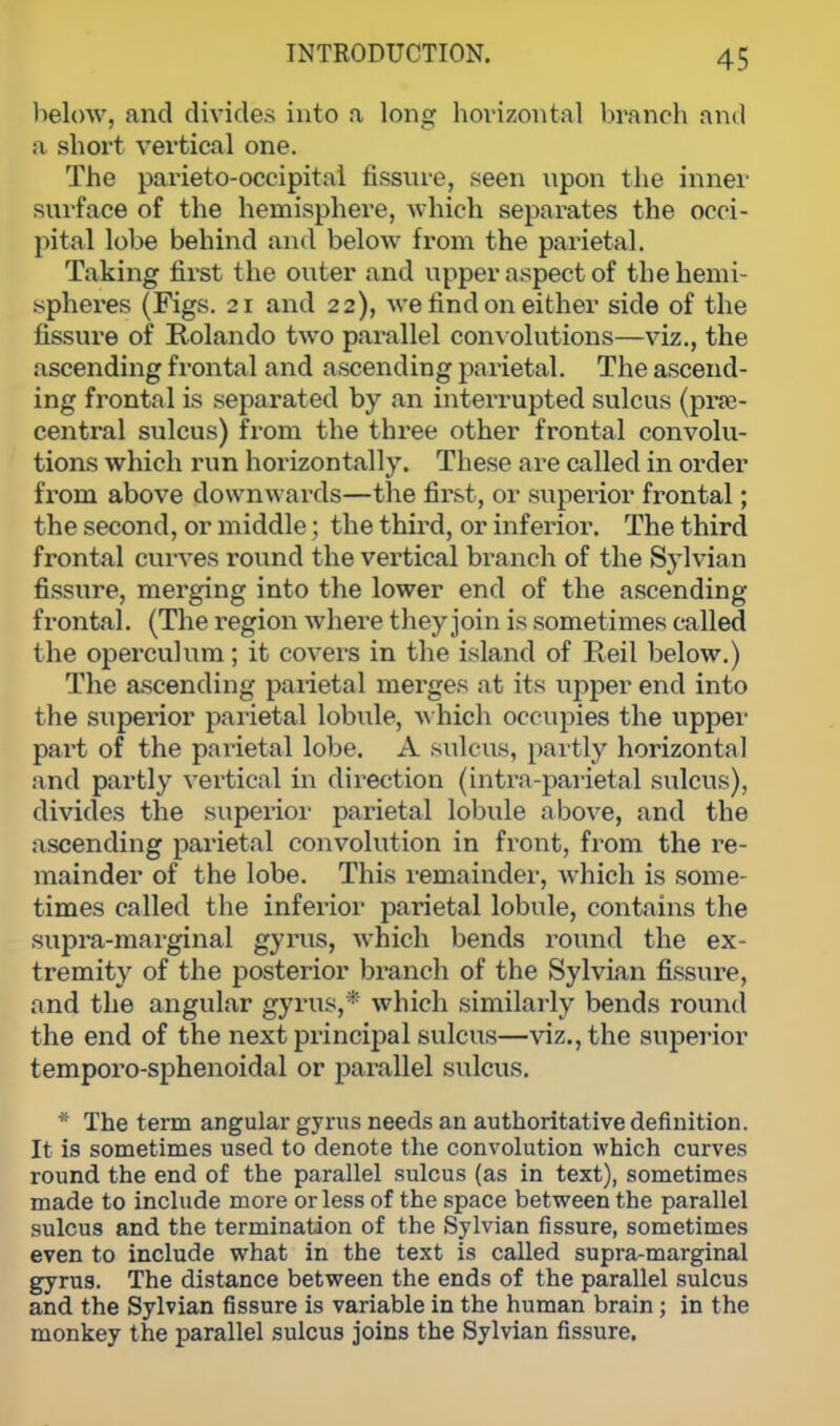 below, and divides into a long horizontal branch and a short vertical one. The parieto-occipital fissure, seen upon the inner surface of the hemisphere, which separates the occi- pital lobe behind and below from the parietal. Taking first the outer and upper aspect of the hemi- spheres (Figs. 21 and 22), we find on either side of the fissure of Rolando two parallel convolutions—viz., the ascending frontal and ascending parietal. The ascend- ing frontal is separated by an interrupted sulcus (pra> central sulcus) from the three other frontal convolu- tions which run horizontally. These are called in order from above downwards—the first, or superior frontal; the second, or middle; the third, or inferior. The third frontal curves round the vertical branch of the Sylvian fissure, merging into the lower end of the ascending frontal. (The region where they join is sometimes called the operculum; it covers in the island of Reil below.) The ascending parietal merges at its upper end into the superior parietal lobule, which occupies the upper part of the parietal lobe. A .sulcus, partly horizontal and partly vertical in direction (intra-parietal sulcus), divides the superior parietal lobule above, and the ascending parietal convolution in front, from the re- mainder of the lobe. This remainder, which is some- times called the inferior parietal lobule, contains the supra-marginal gyrus, which bends round the ex- tremity of the posterior branch of the Sylvian fissure, and the angular gyrus,* which similarly bends round the end of the next principal sulcus—viz., the superior temporo-sphenoidal or parallel sulcus. * The term angular gyms needs an authoritative definition. It is sometimes used to denote the convolution which curves round the end of the parallel sulcus (as in text), sometimes made to include more or less of the space between the parallel sulcus and the termination of the Sylvian fissure, sometimes even to include what in the text is called supra-marginal gyrus. The distance between the ends of the parallel sulcus and the Sylvian fissure is variable in the human brain; in the monkey the parallel sulcus joins the Sylvian fissure.