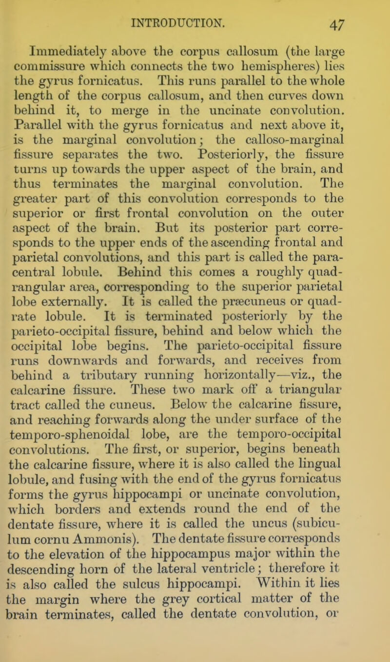Immediately above the corpus callosum (the large commissure which connects the two hemispheres) lies the gyrus fornicatus. This runs parallel to the whole length of the corpus callosum, and then curves down behind it, to merge in the uncinate convolution. Parallel with the gyrus fornicatus and next above it, is the marginal convolution; the calloso-marginal fissure separates the two. Posteriorly, the fissure turns up towards the upper aspect of the brain, and thus terminates the marginal convolution. The greater part of this convolution corresponds to the superior or first frontal convolution on the outer aspect of the brain. But its posterior part corre- sponds to the upper ends of the ascending frontal and parietal convolutions, and this part is called the para- central lobule. Behind this comes a roughly quad- rangular area, corresponding to the superior parietal lobe externally. It is called the precuneus or quad- rate lobule. It is terminated posteriorly by the parietooccipital fissure, behind and below which the occipital lobe begins. The parieto-occipital fissure runs downwards and forwards, and receives from behind a tributary running horizontally—viz., the calcarine fissure. These two mark off a triangular tract called the cuneus. Below the calcarine fissure, and reaching forwards along the under surface of the temporo-sphenoidal lobe, are the temporo-occipital convolutions. The first, or superior, begins beneath the calcarine fissure, where it is also called the lingual lobule, and fusing with the end of the gyrus fornicatus forms the gyrus hippocampi or uncinate convolution, which borders and extends round the end of the dentate fissure, where it is called the uncus (subicu- lum cornu Ammonis). The dentate fissure corresponds to the elevation of the hippocampus major within the descending horn of the lateral ventricle; therefore it is also called the sulcus hippocampi. Within it lies the margin where the grey cortical matter of the brain terminates, called the dentate convolution, or